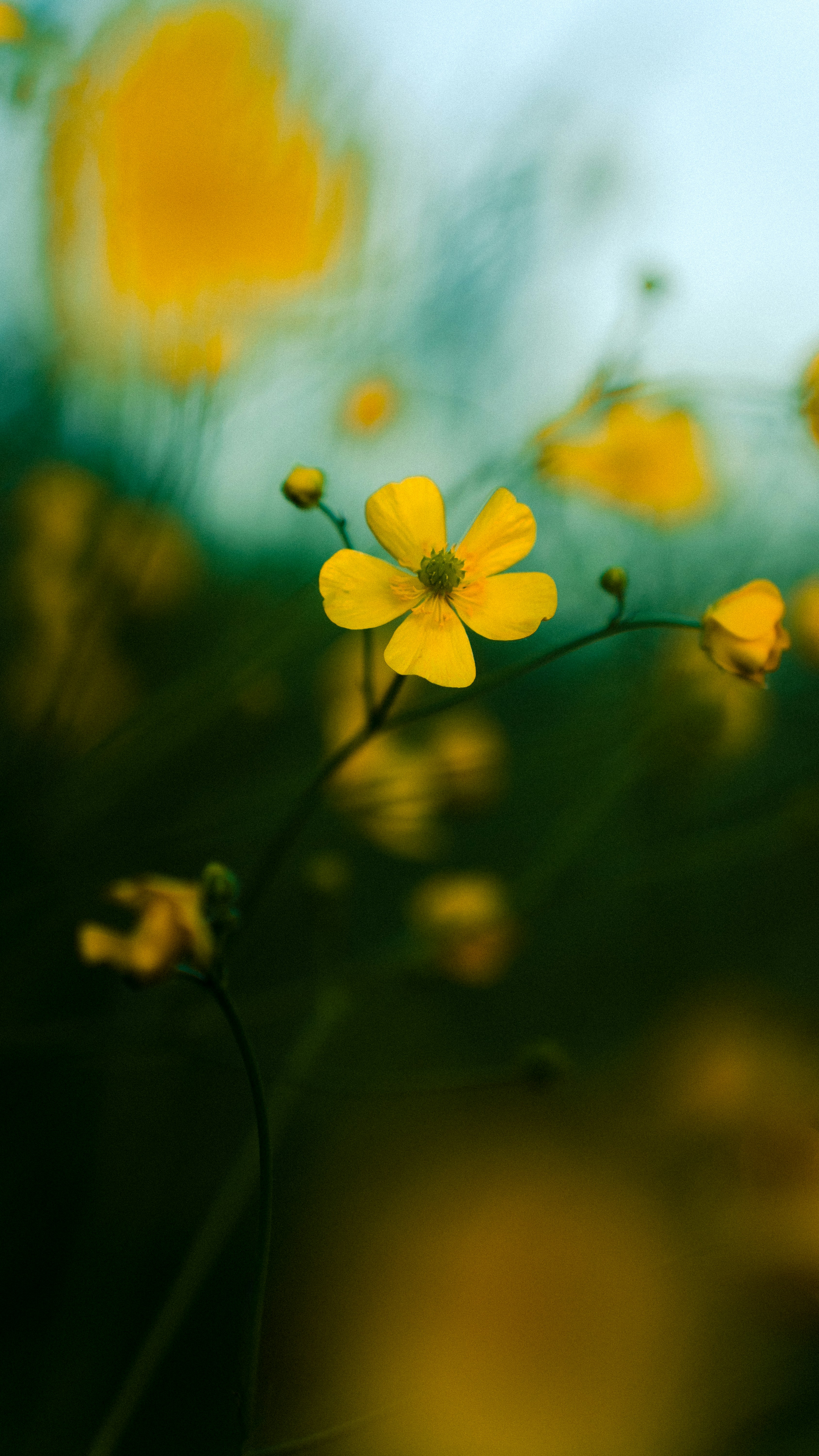 Photo by benjirokaneki