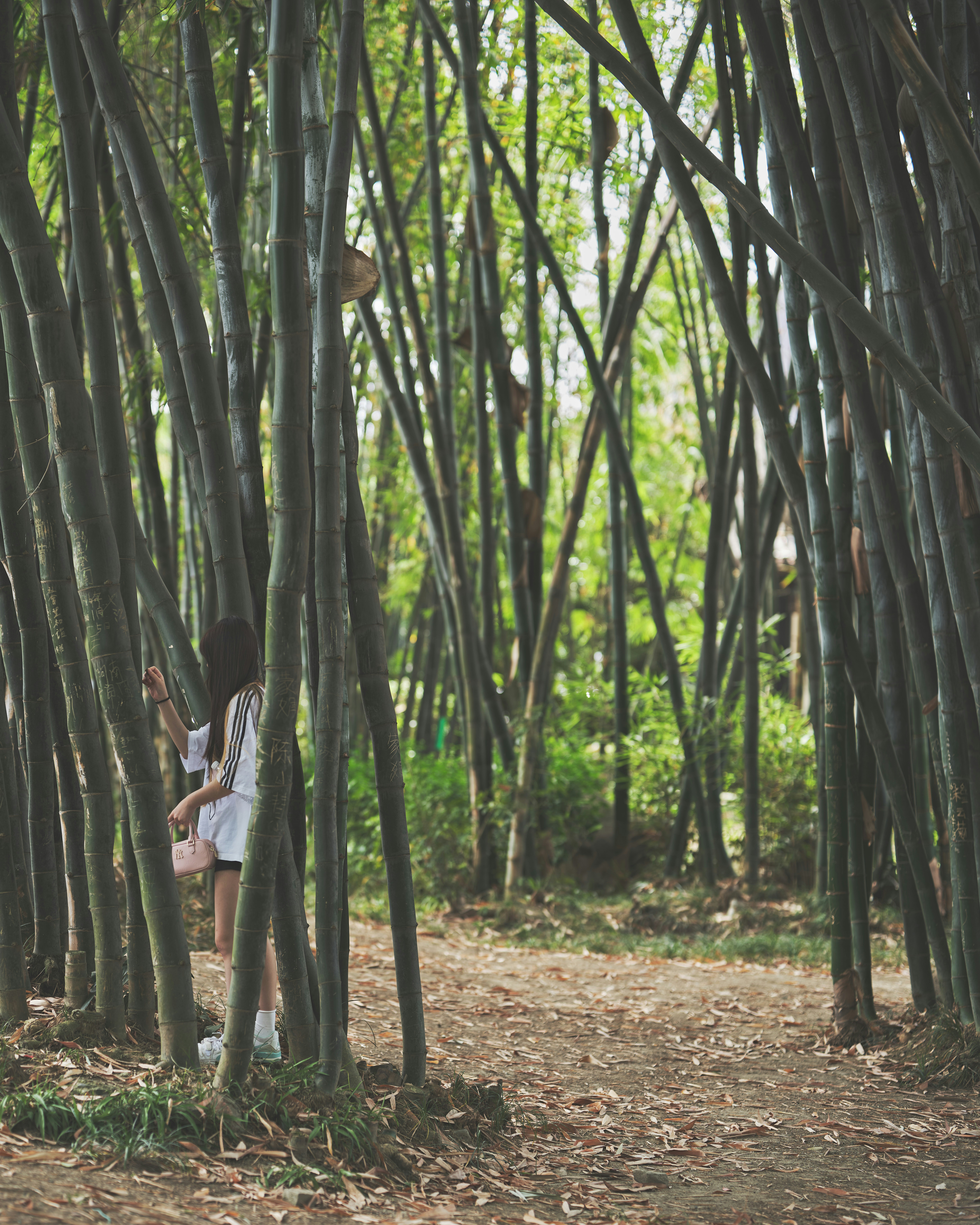 Photo by 7seth