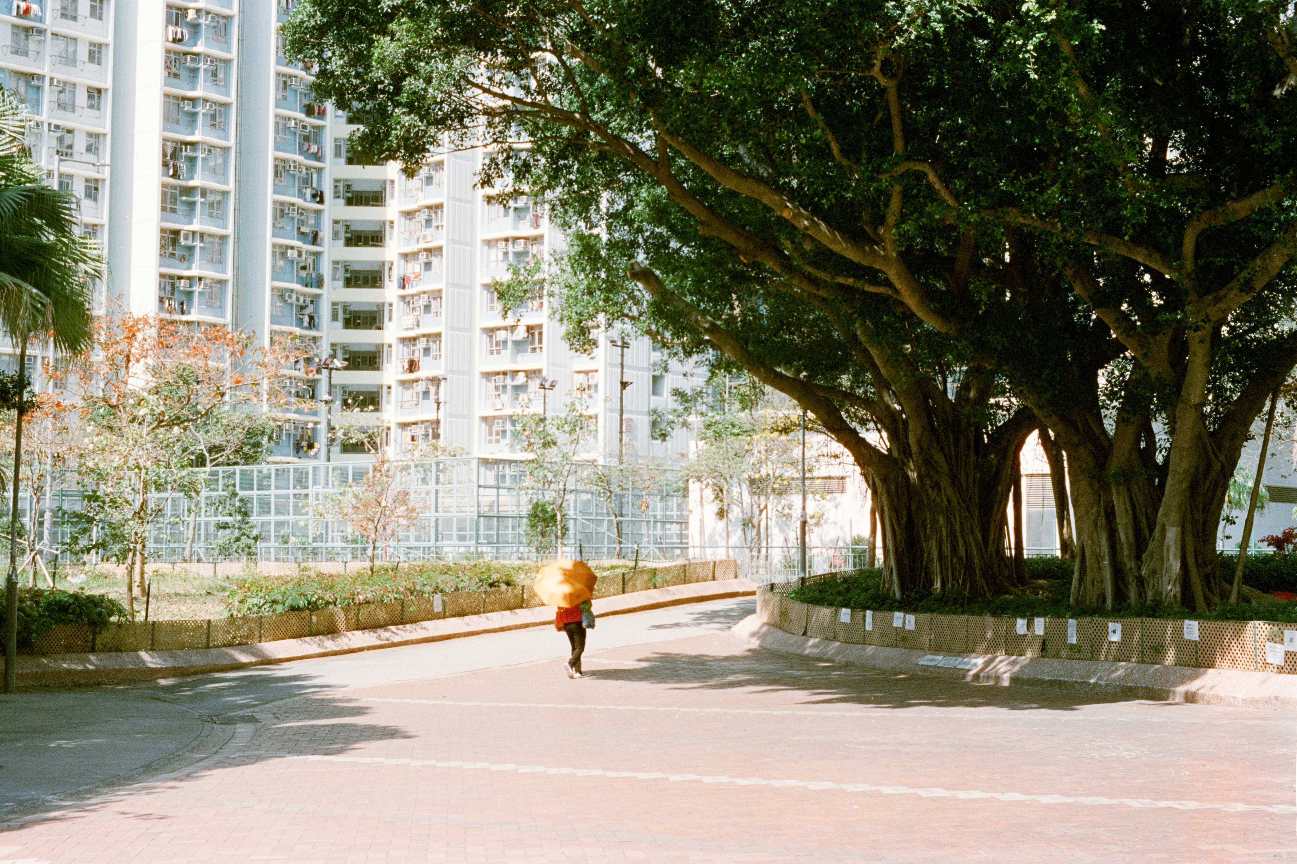 Parque Sector 2
