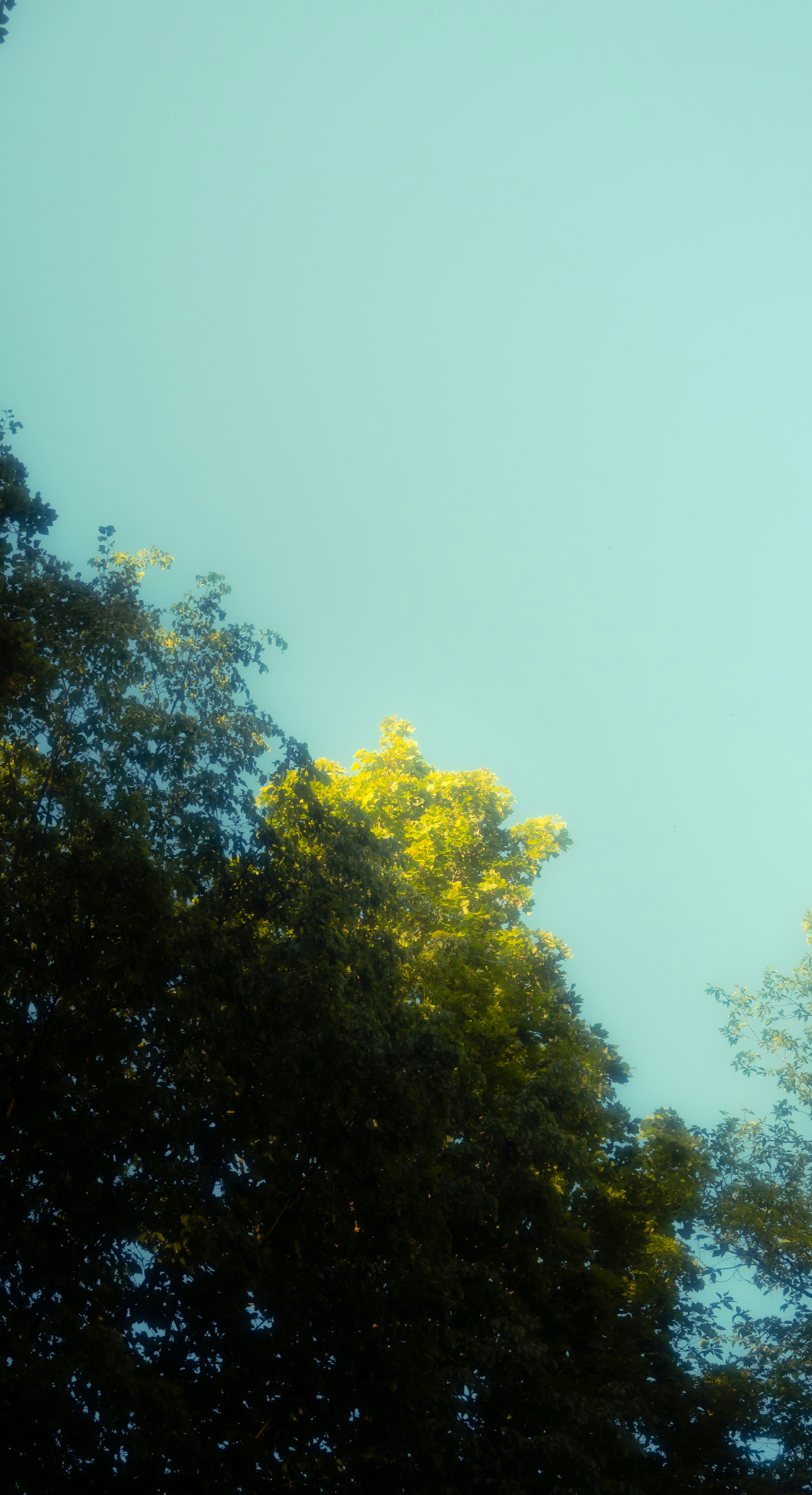 Photo by yunghollows