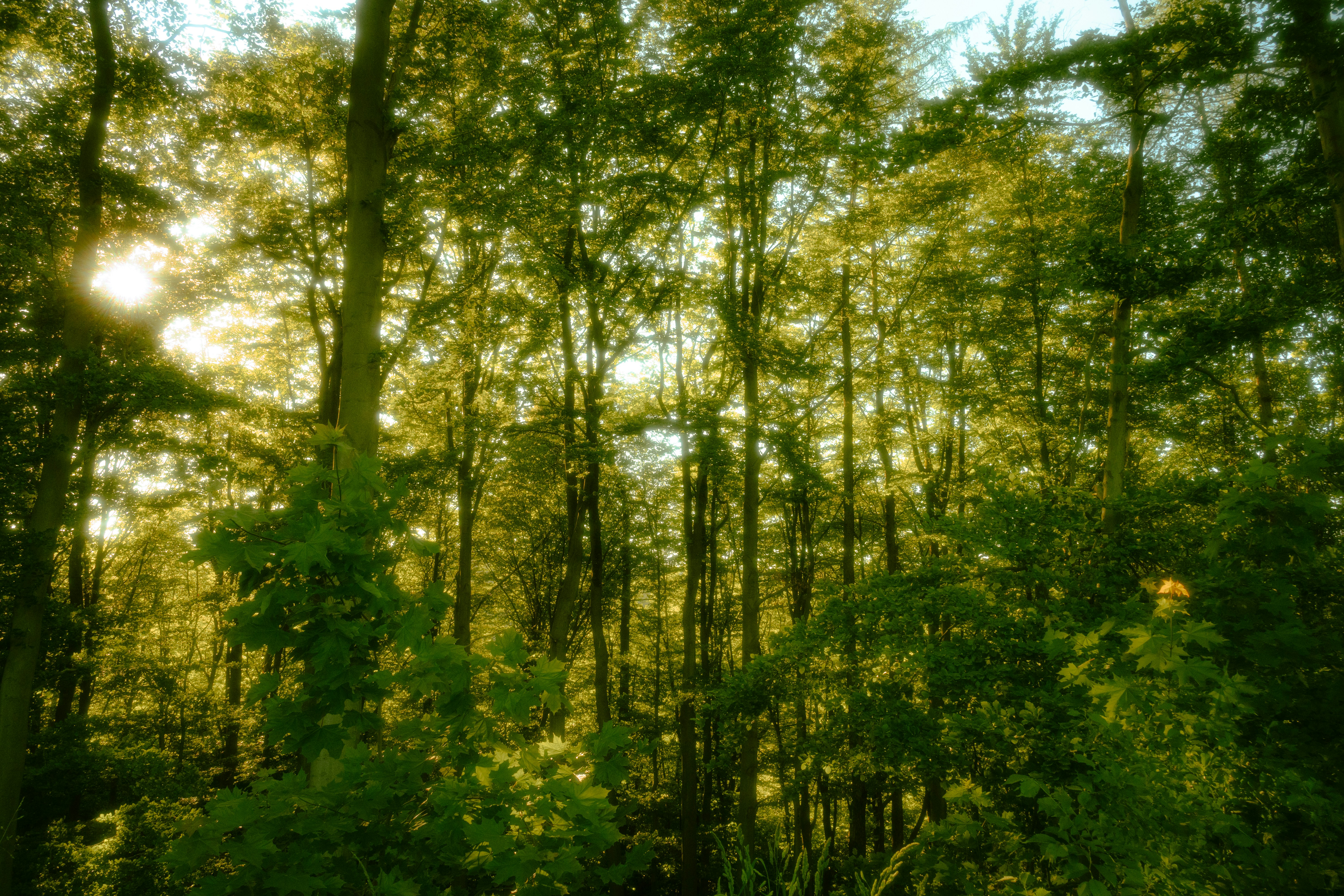 Photo by yunghollows