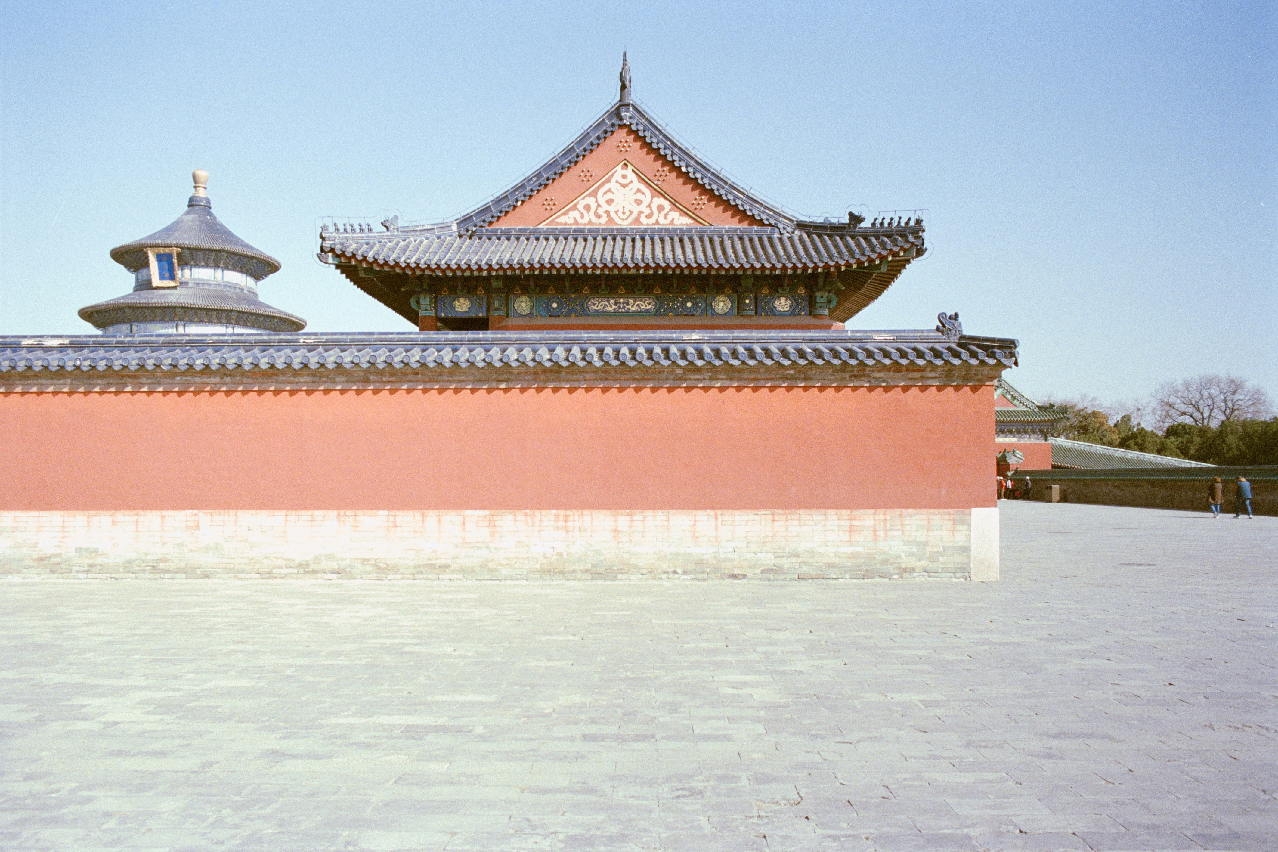 Photo by zhenyao_photo