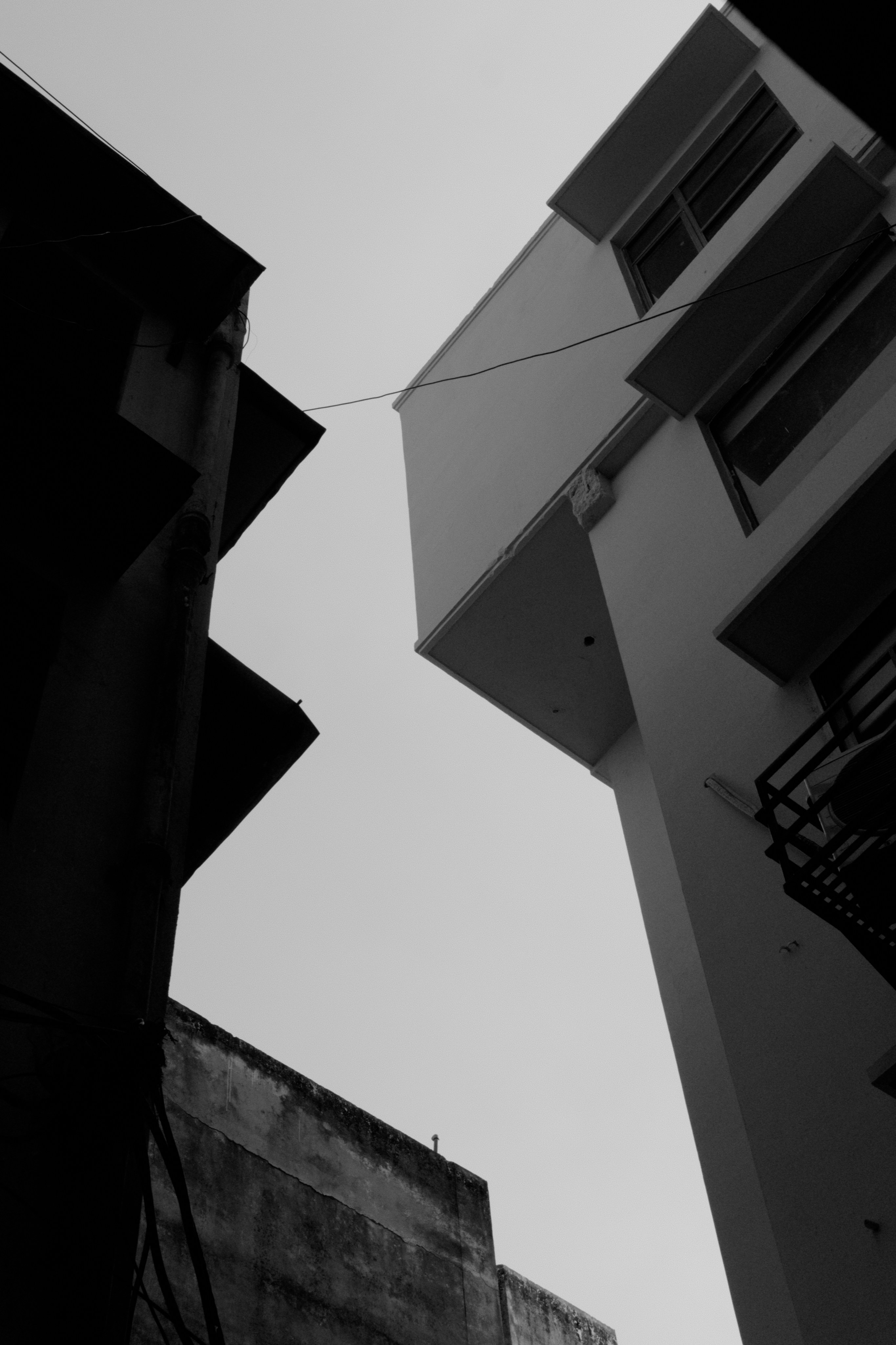 Photo by ronan18