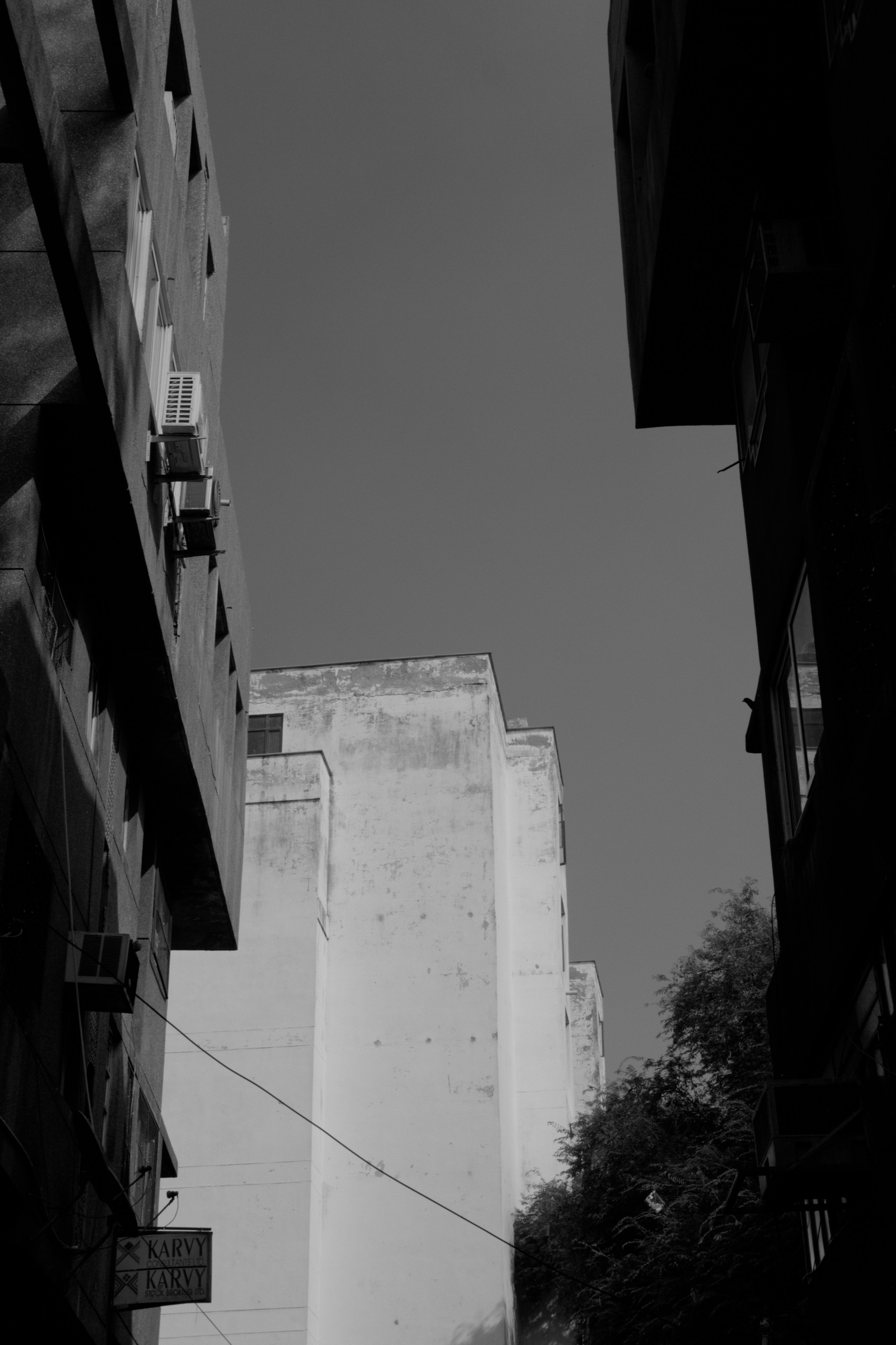 Photo by ronan18