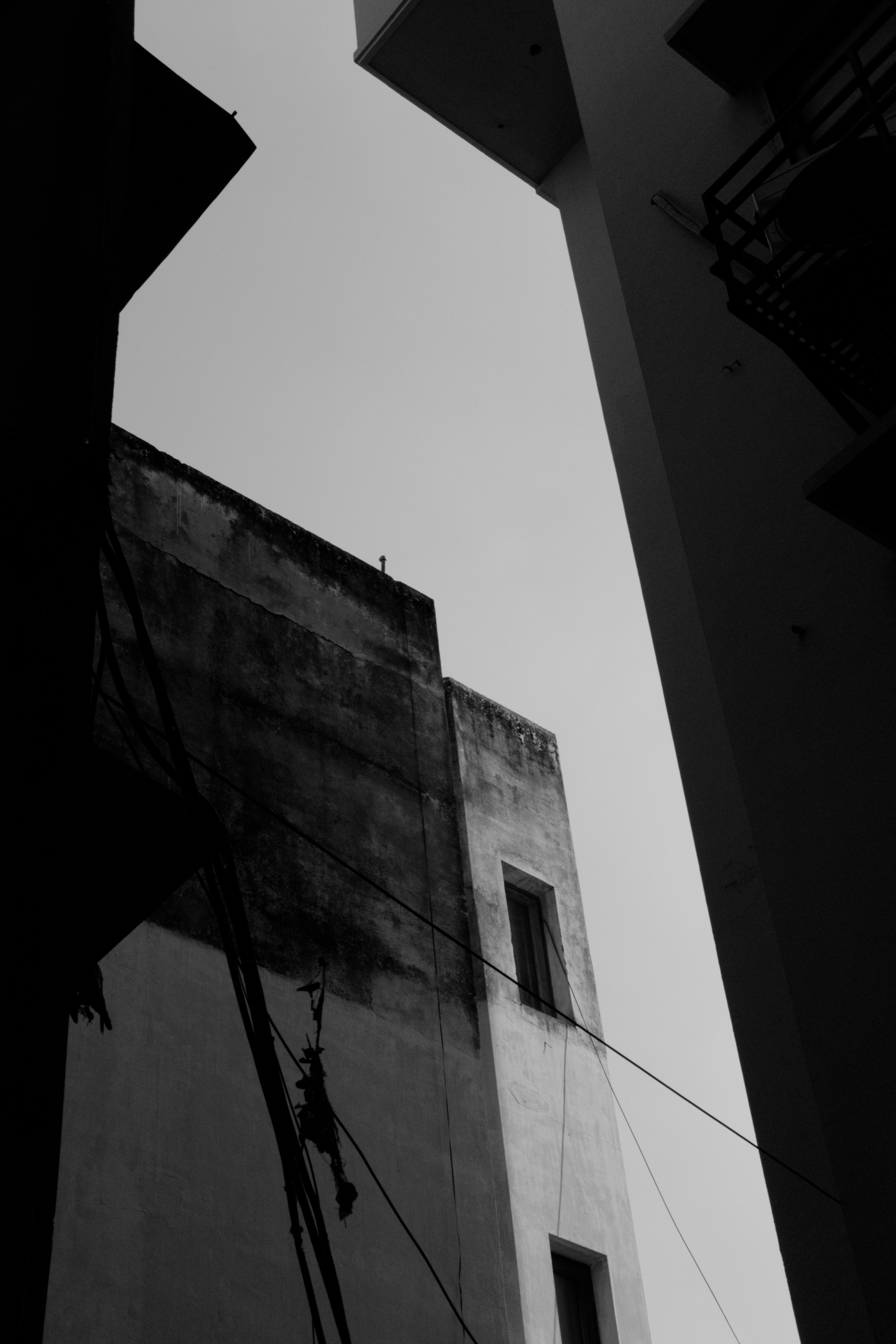 Photo by ronan18