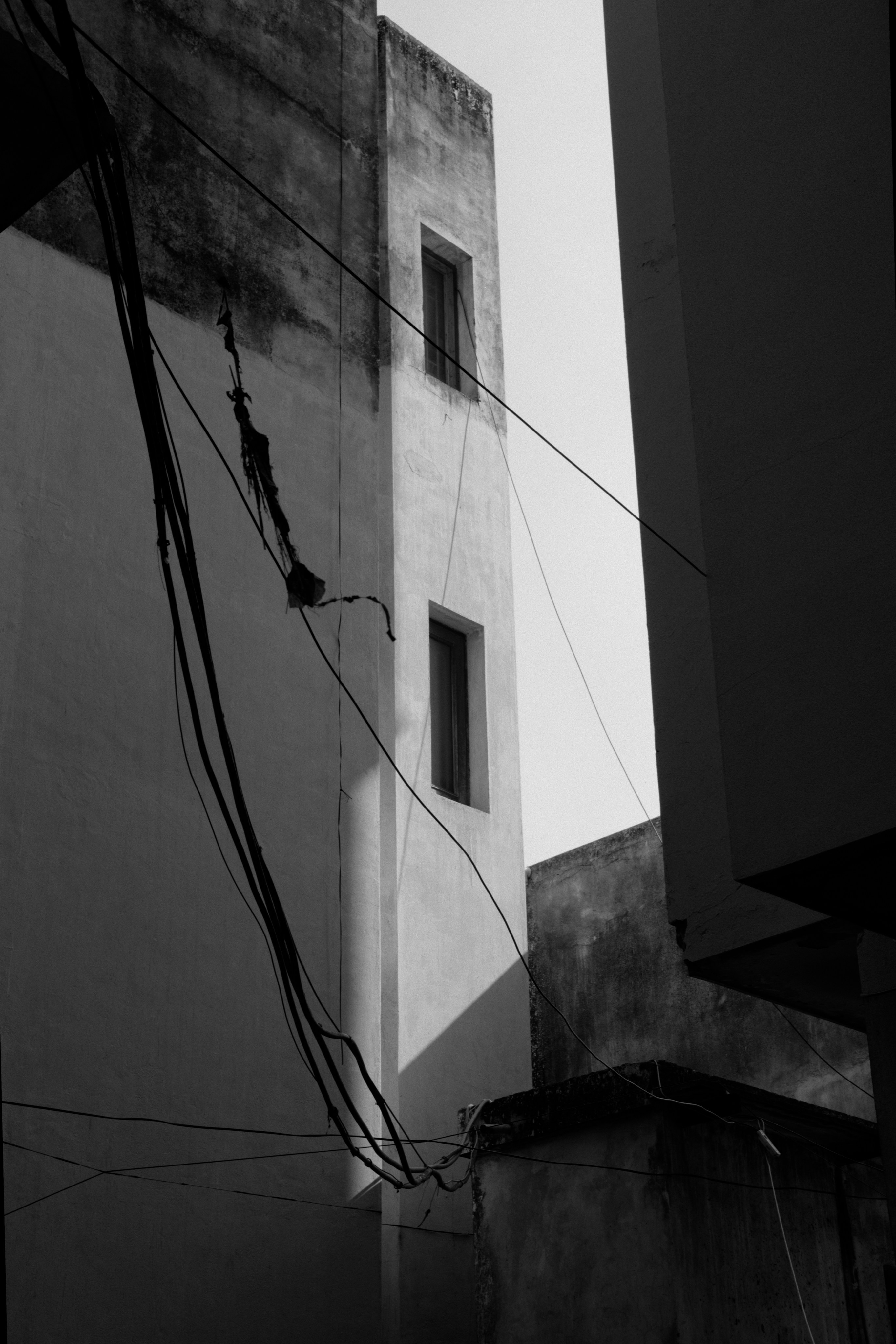 Photo by ronan18