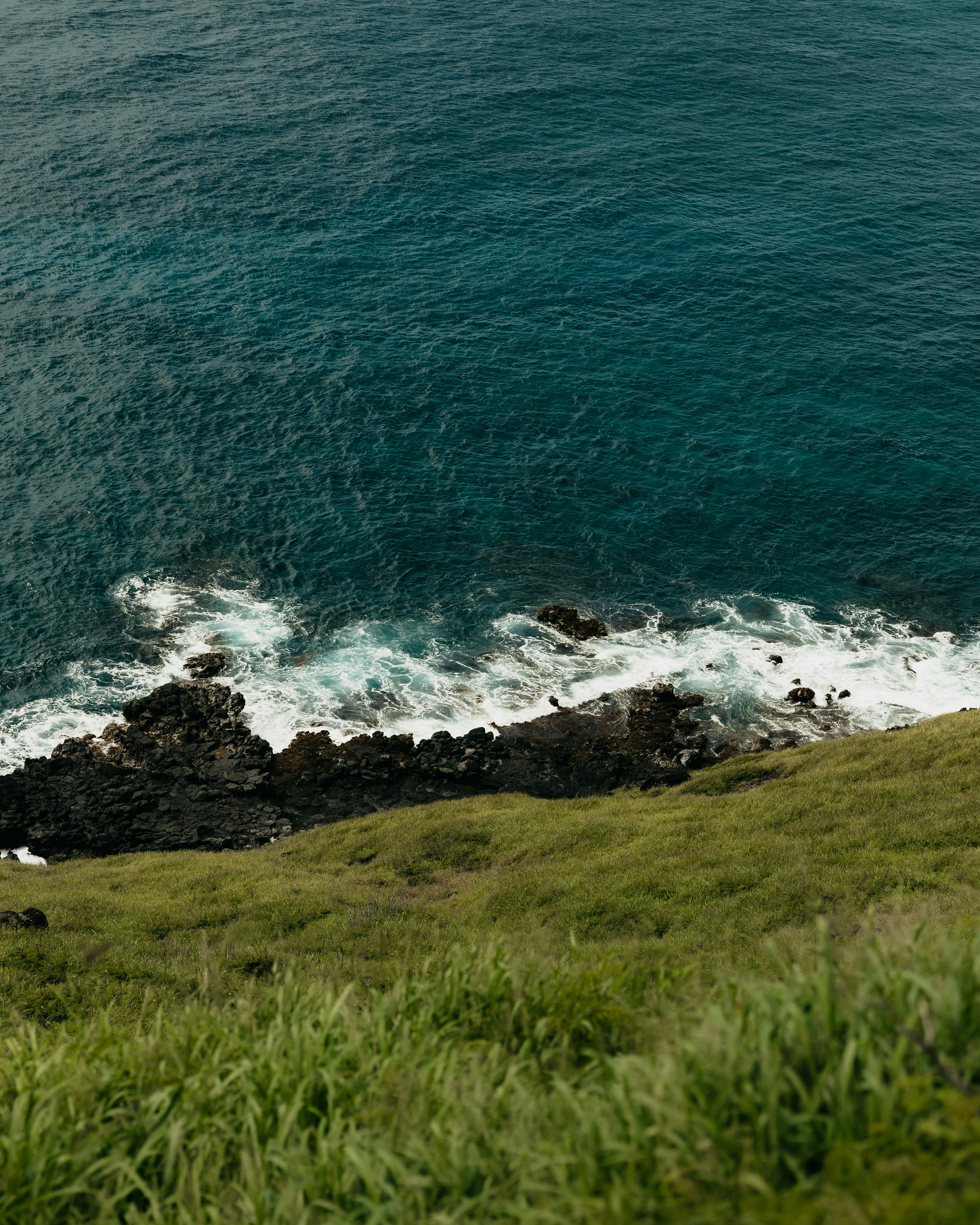Photo by shotfromdeep
