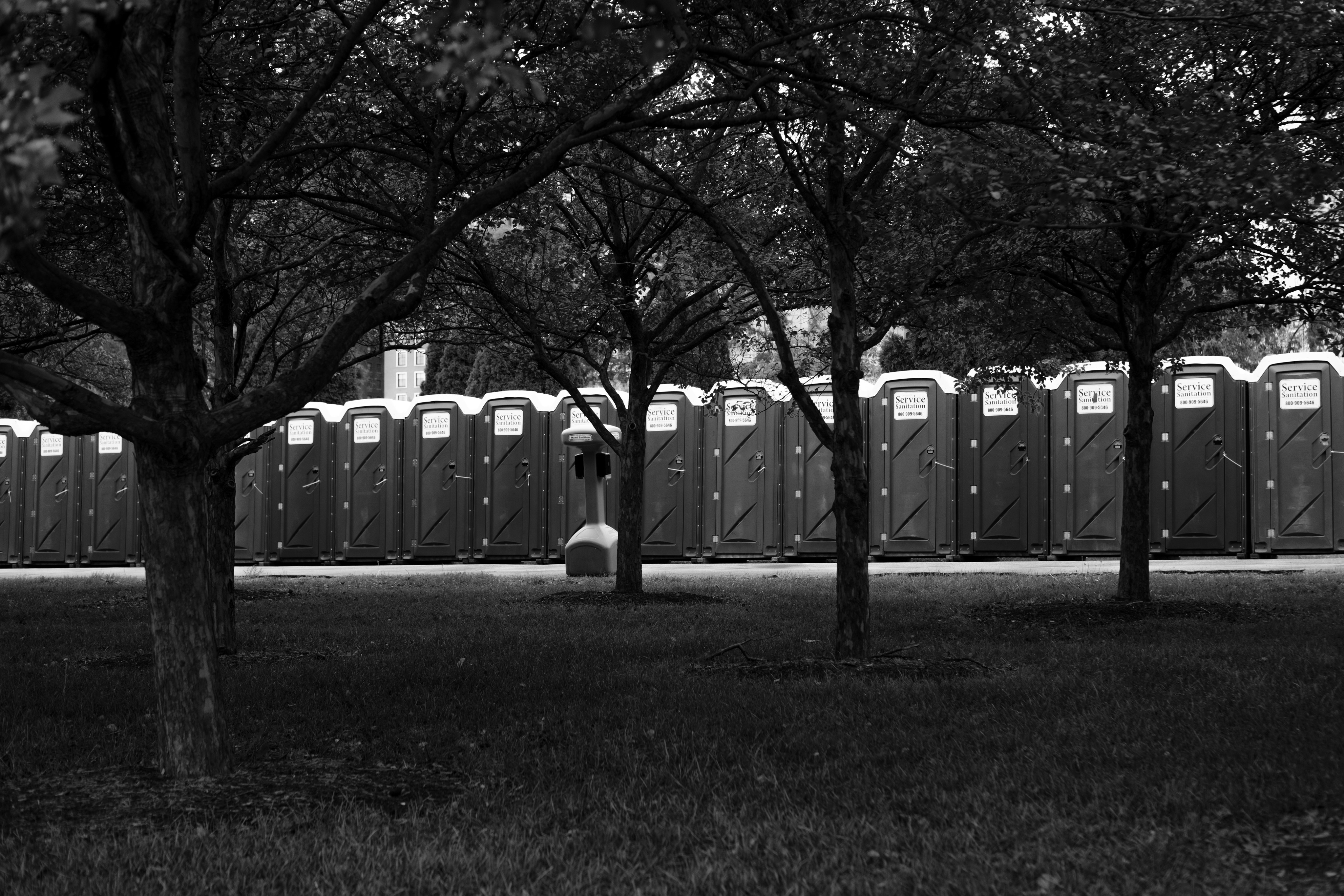 Portable toilets lined up in a grassy area with trees.