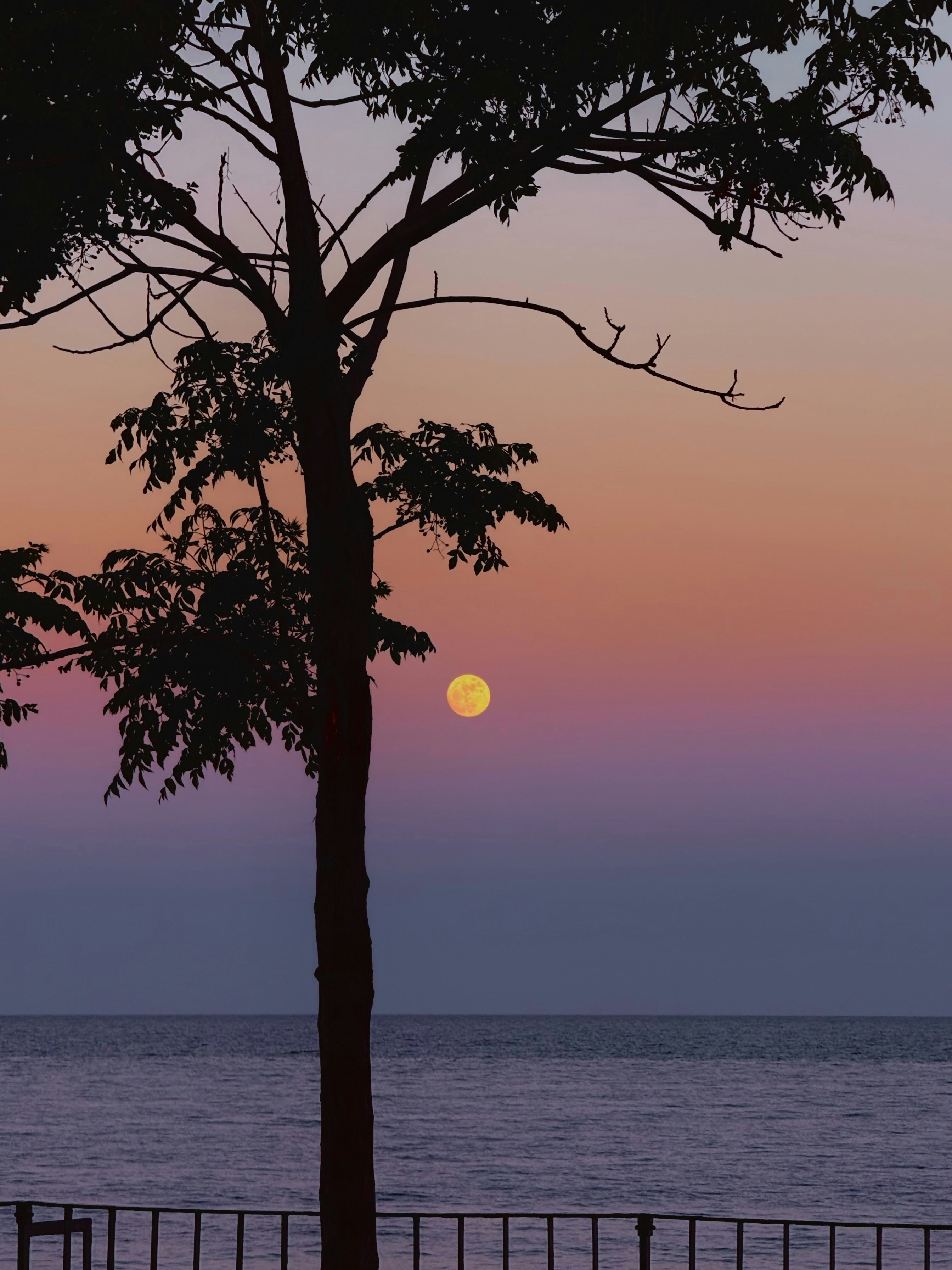 Photo by melinkan