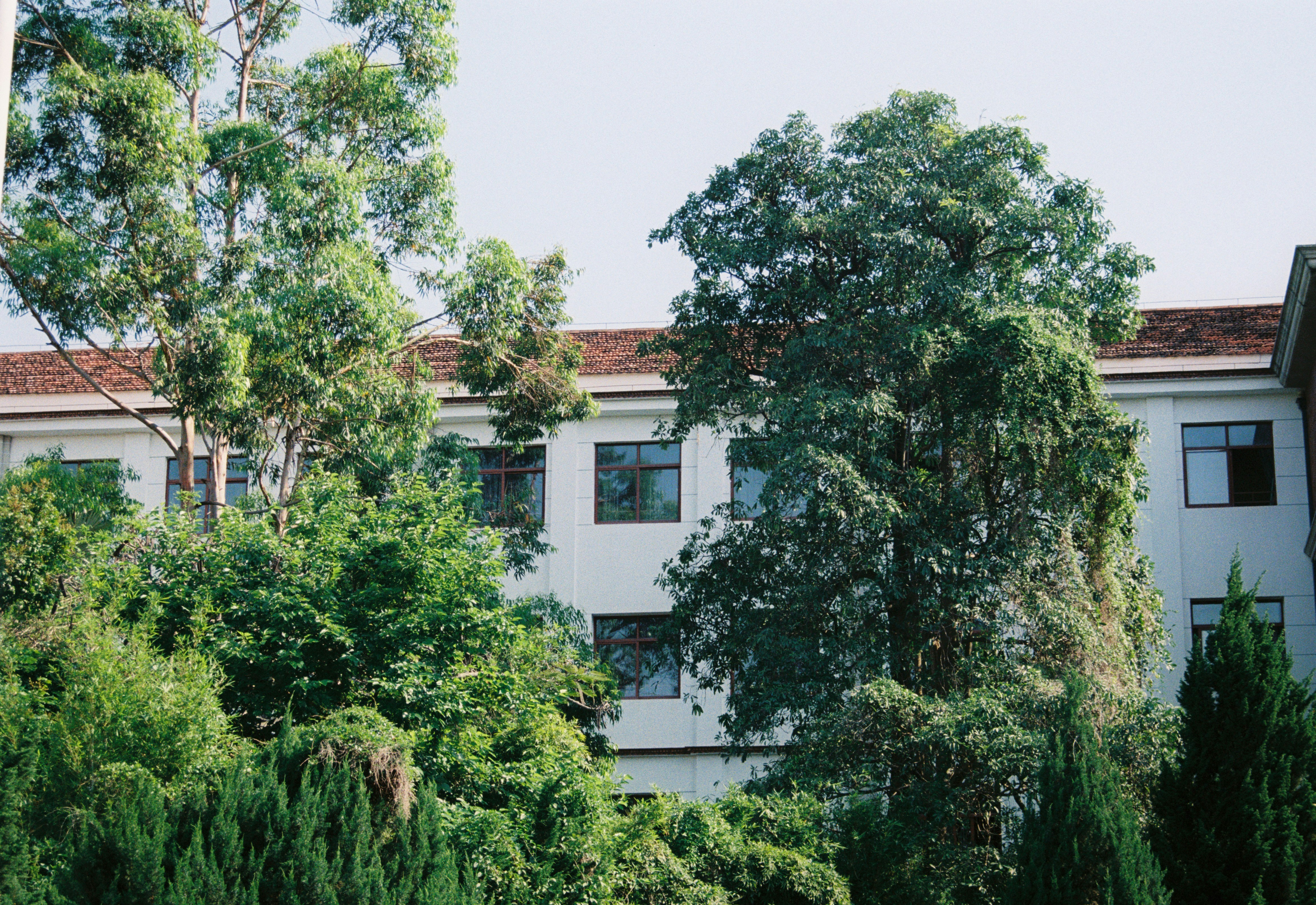 Photo by owen_wei