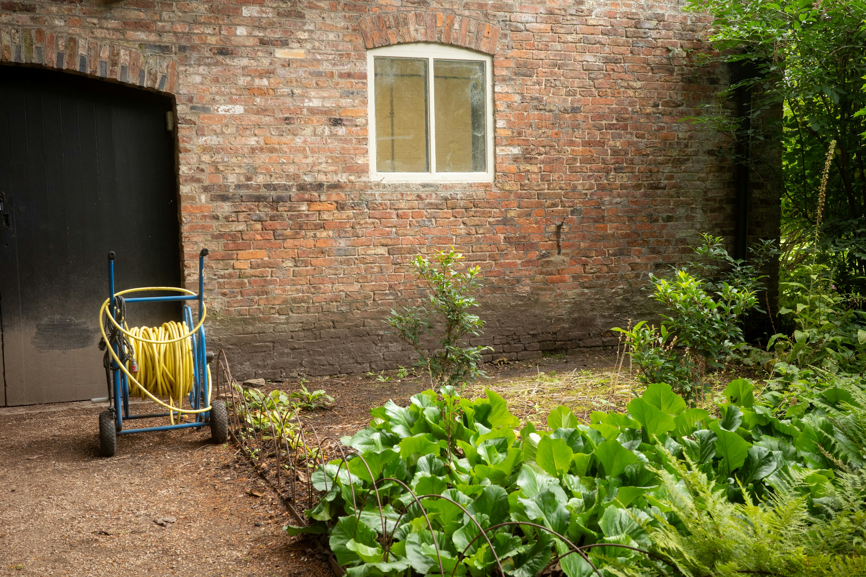 Garden cleanup and waste removal