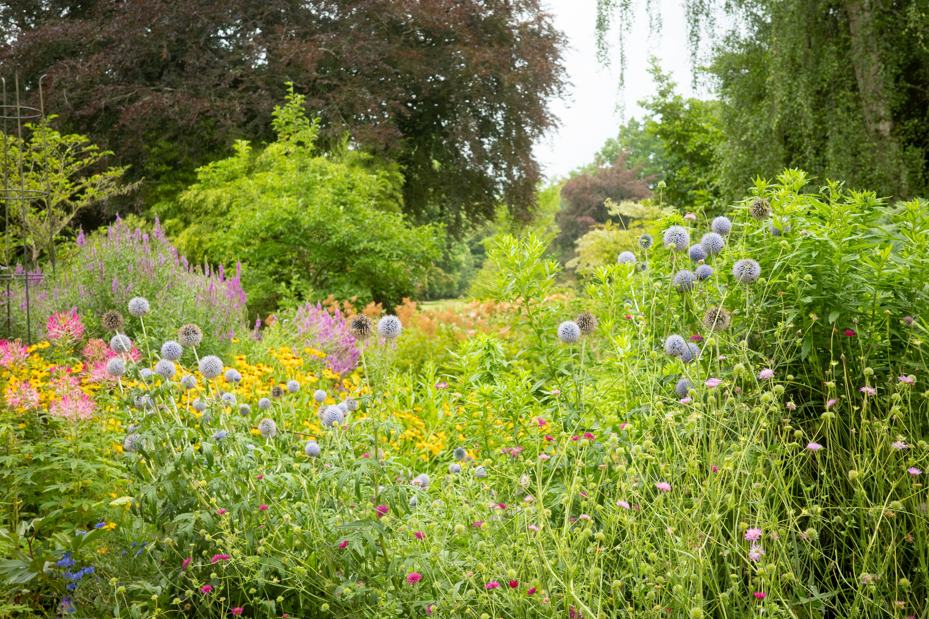A vibrant garden full of diverse plants and colorful flowers