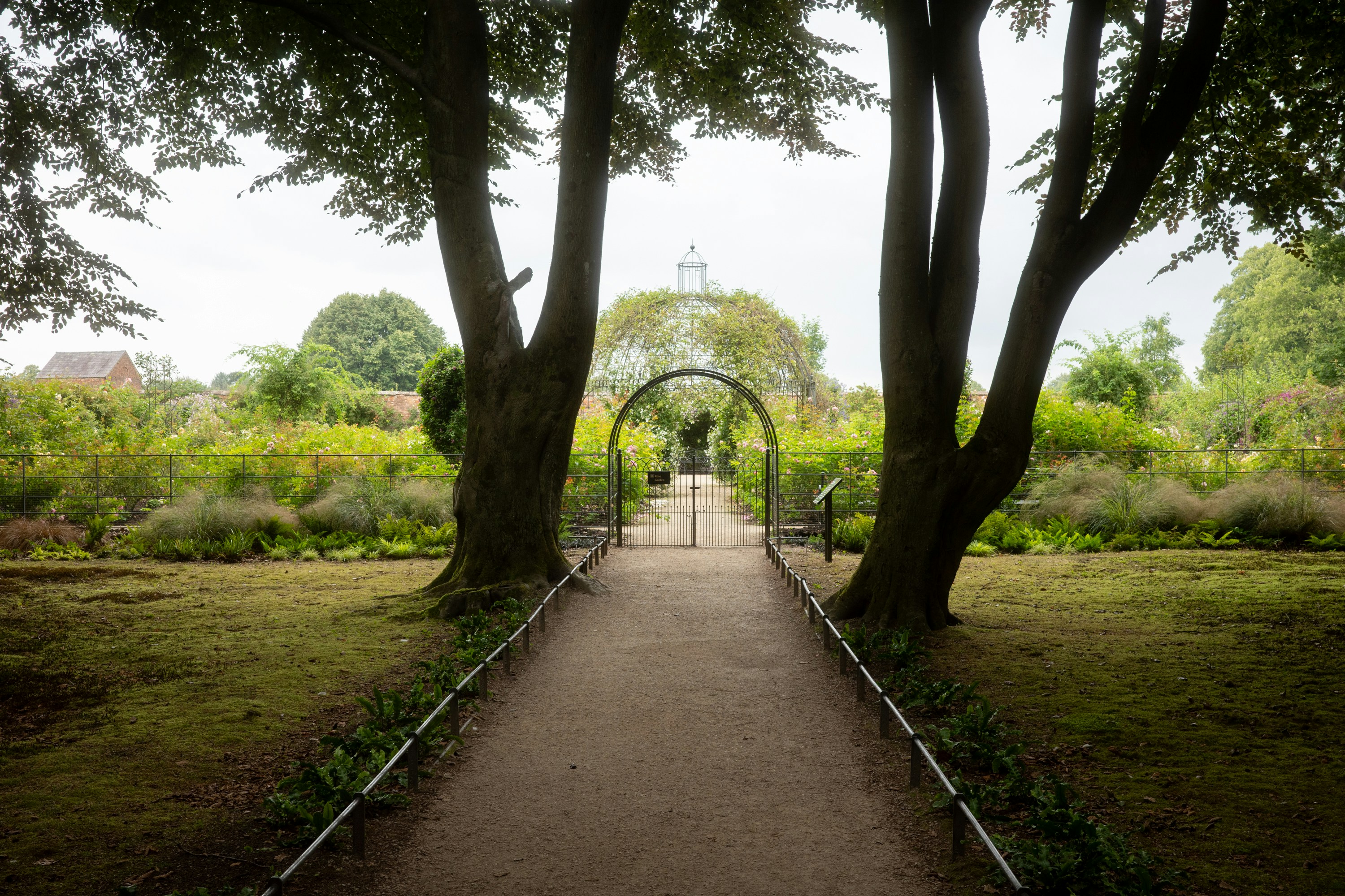 Garden path framed by trees