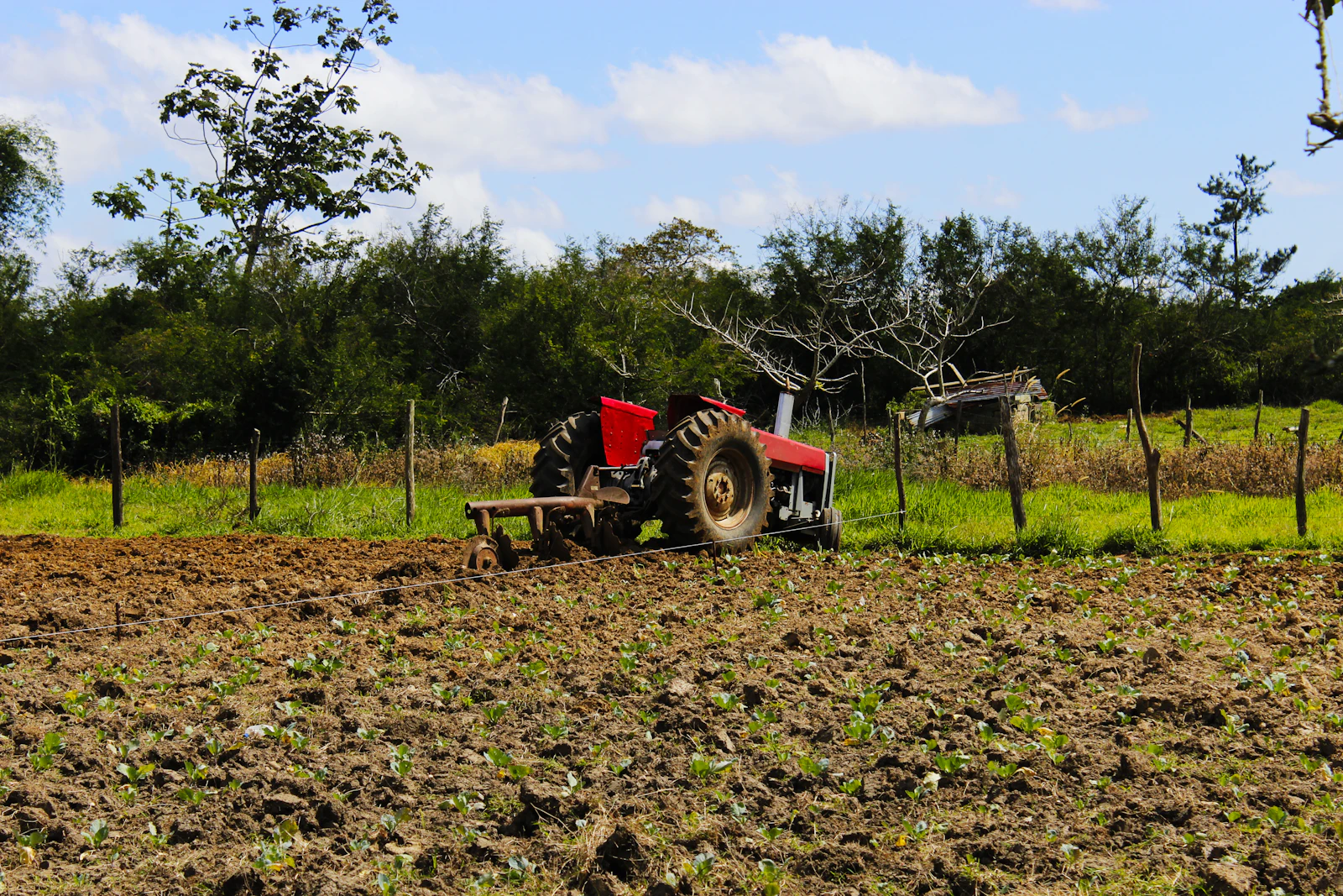 A tractor plowing a field under a blue sky