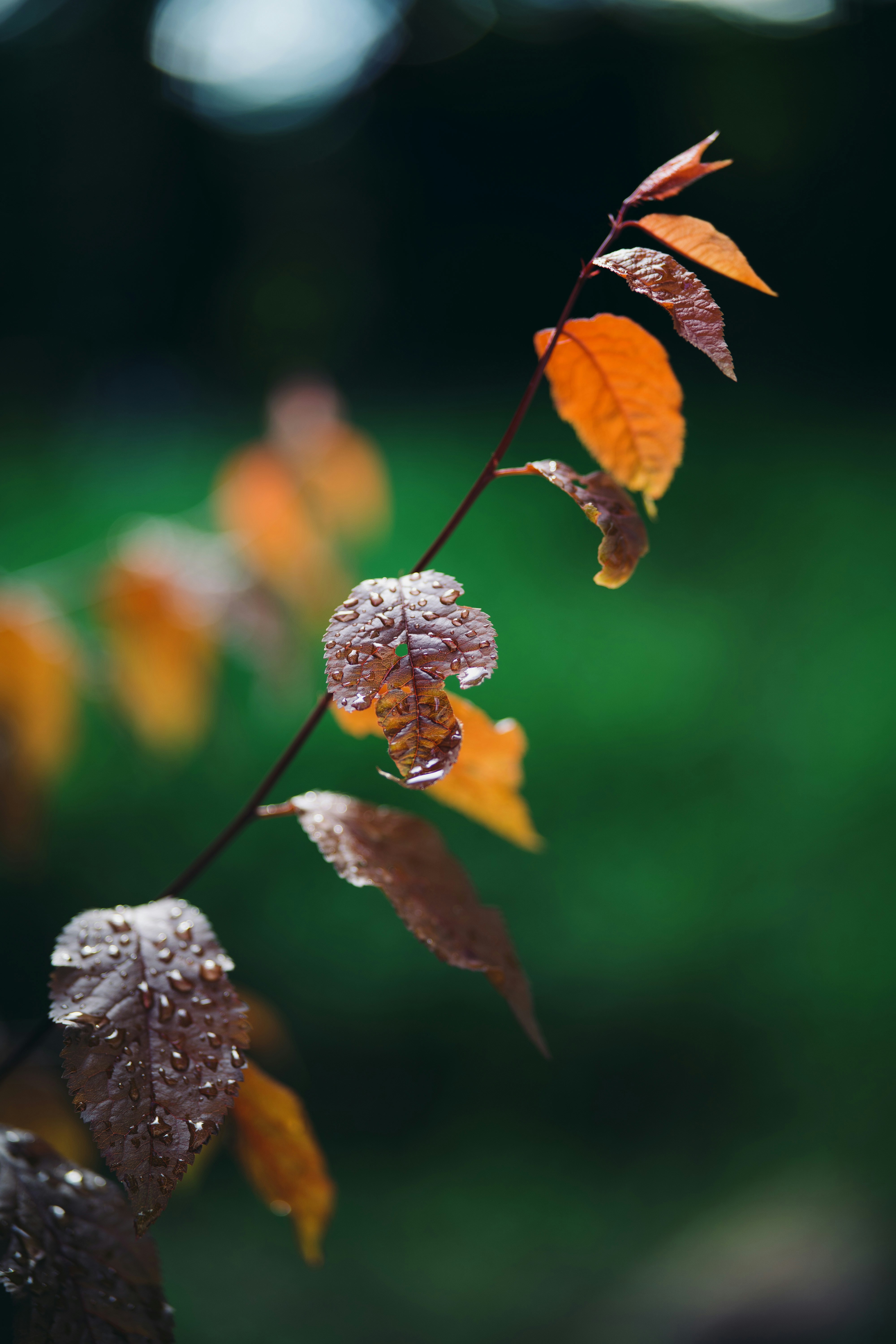 Photo by dermanuskript