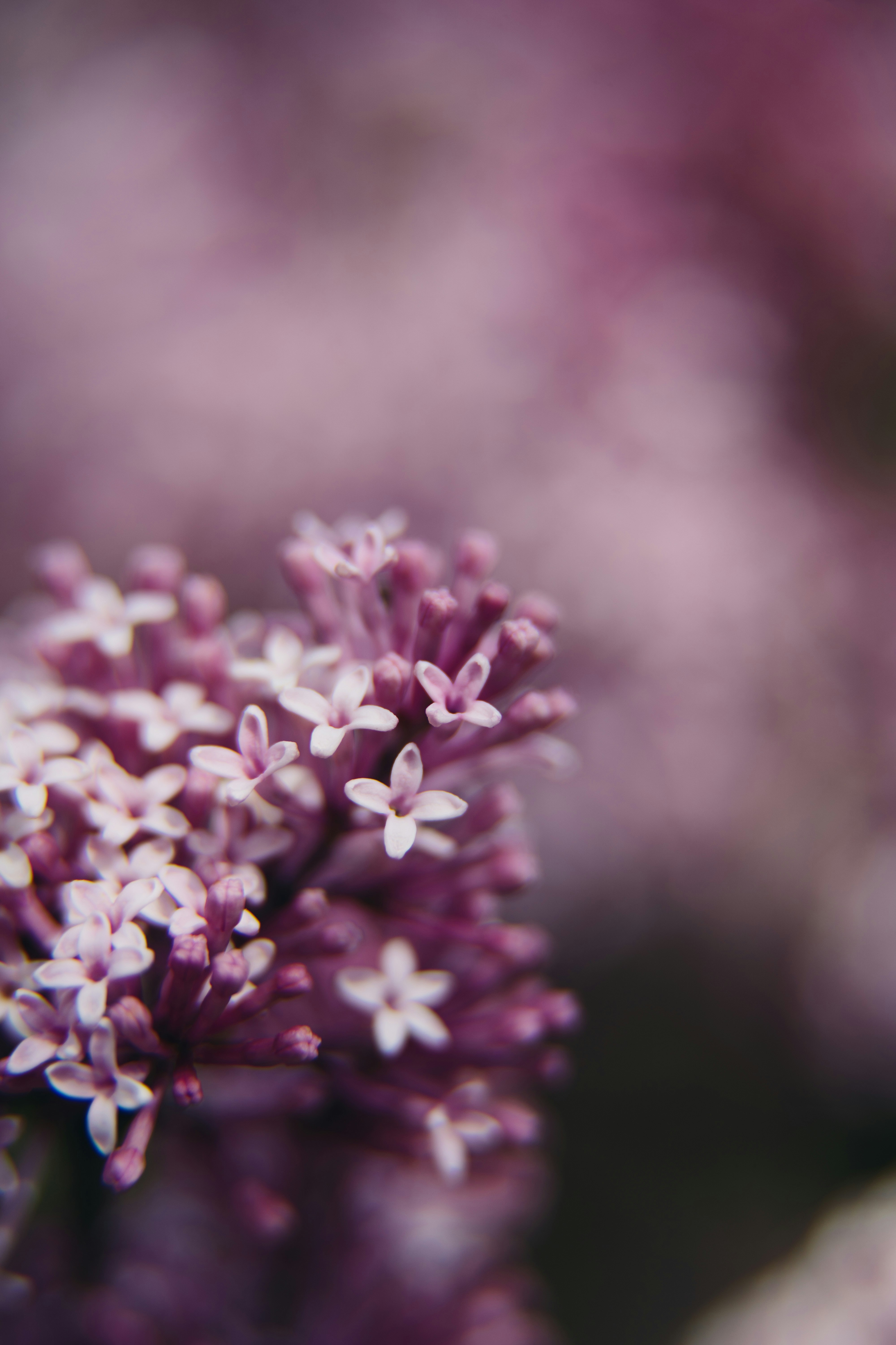 Photo by dermanuskript