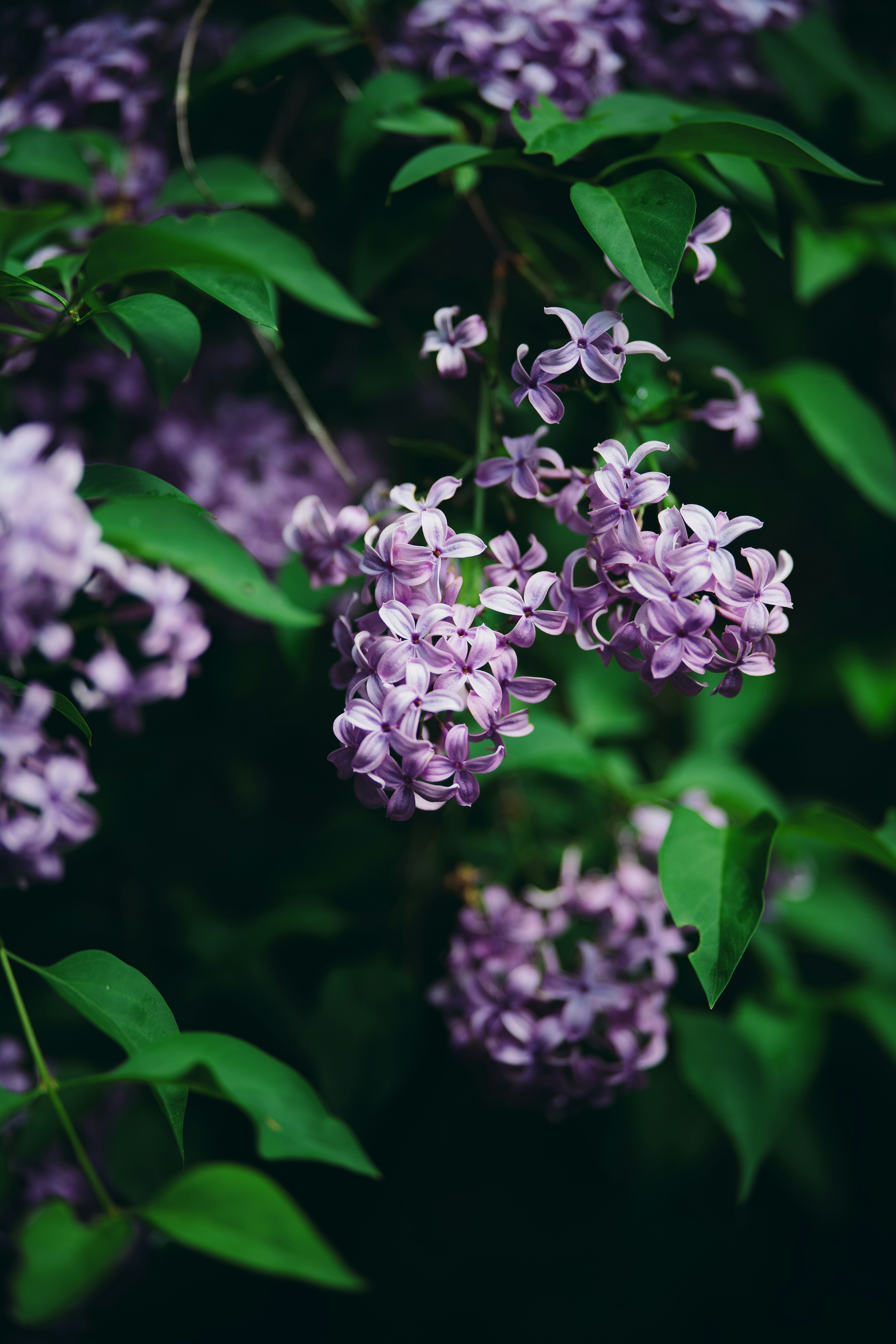 Photo by dermanuskript