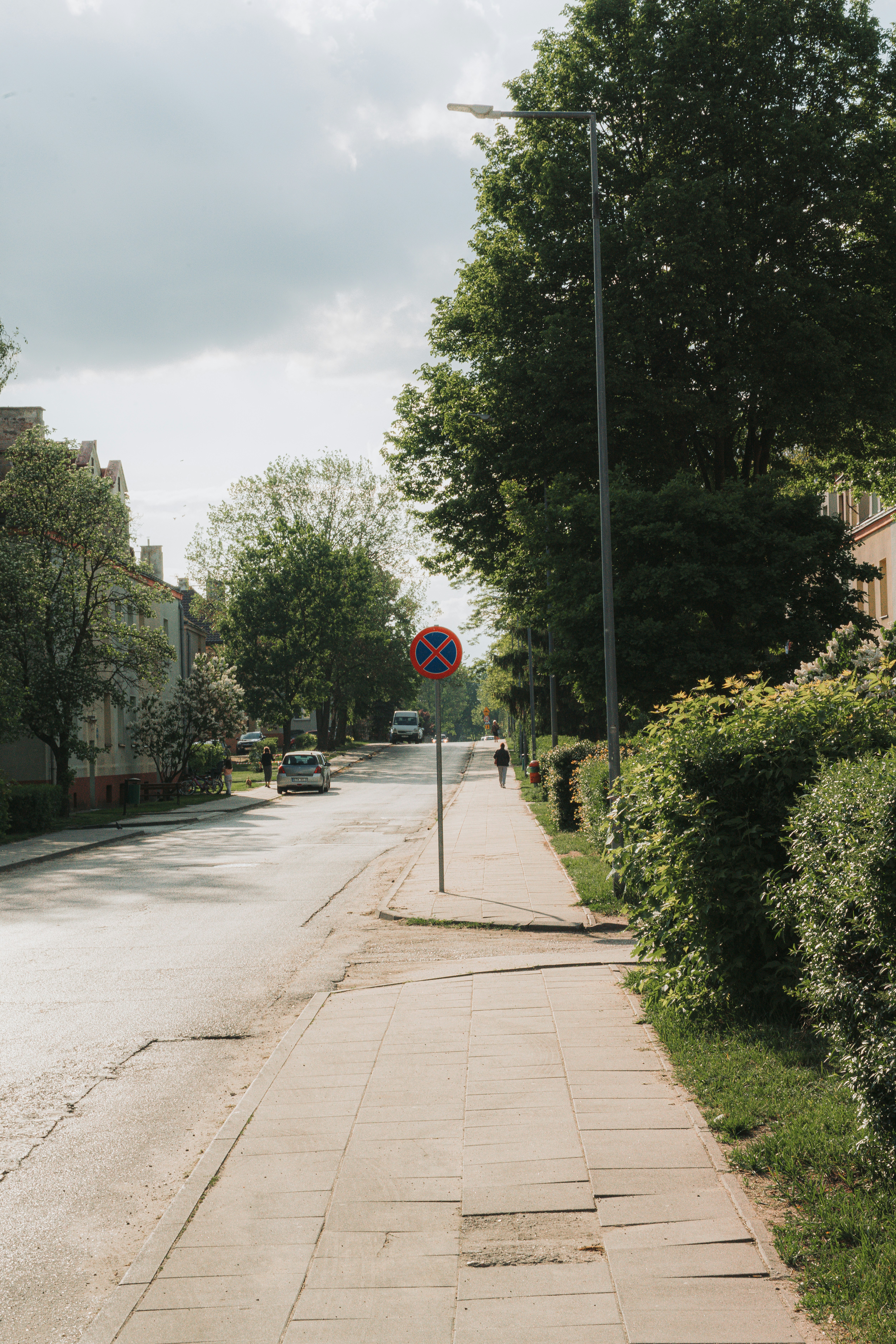 Eine städtische Straße mit Bäumen, Gebäuden und einem Stoppverbotsschild