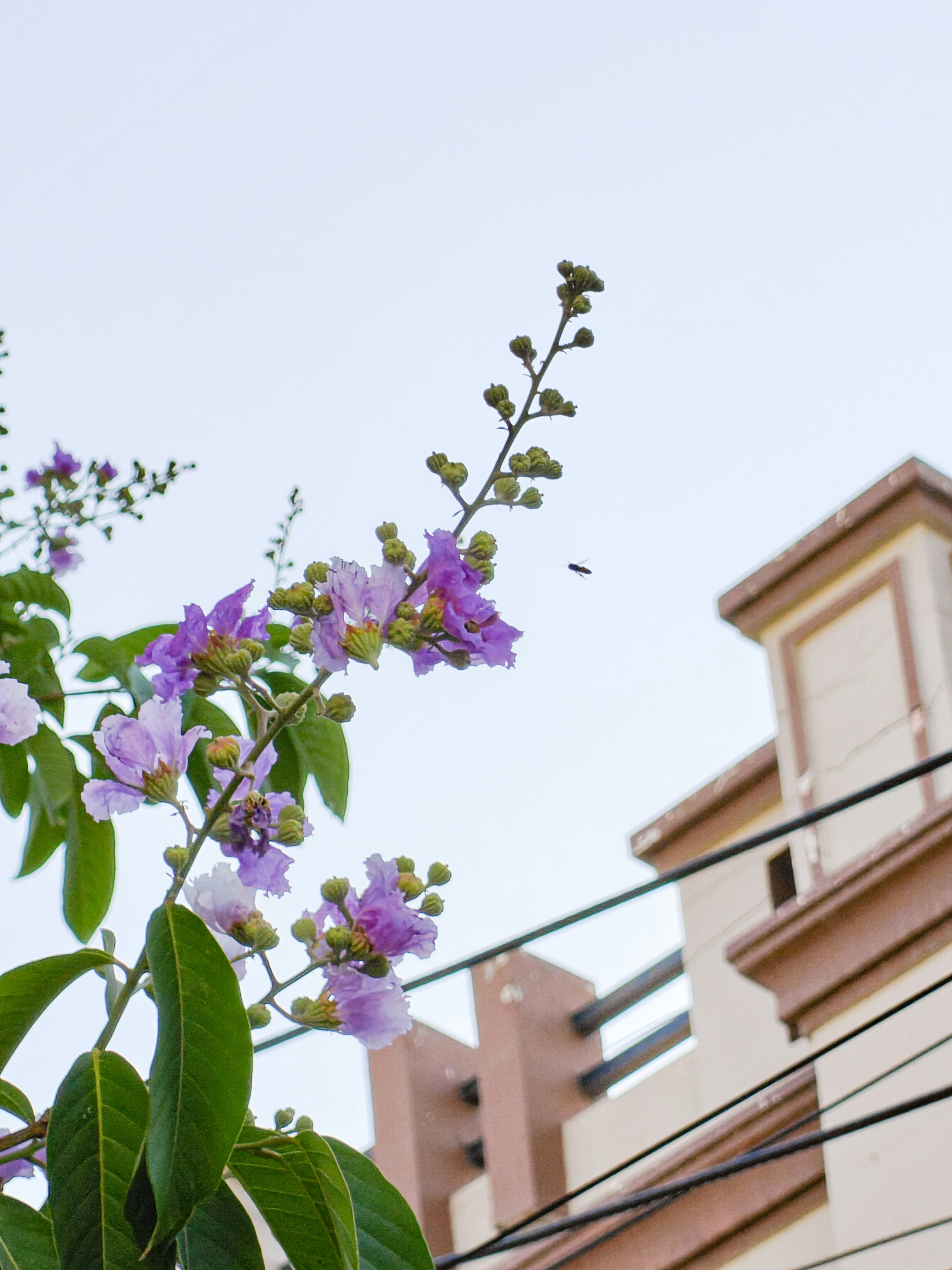 Photo by teekhiwalipanipuri