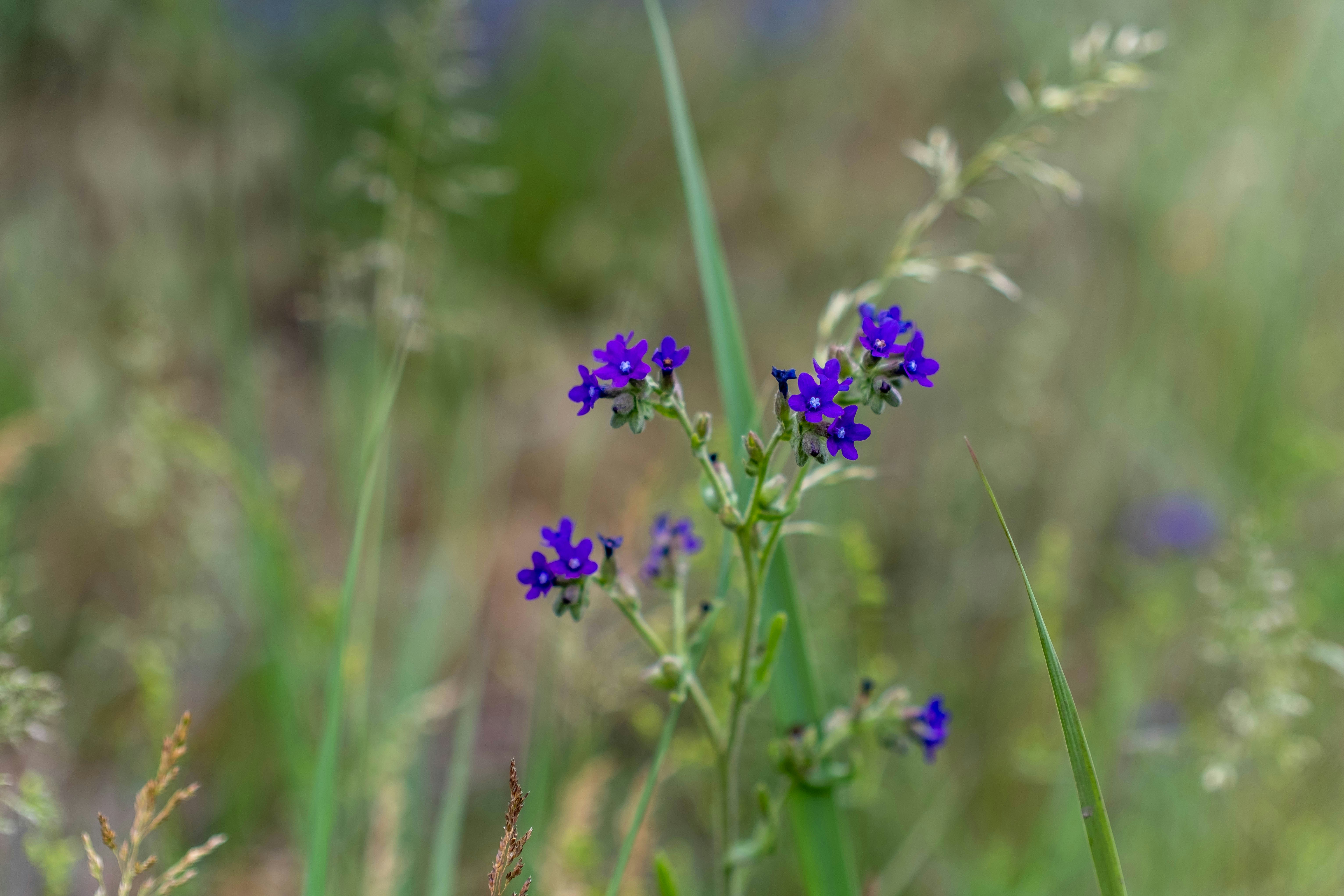 Photo by skajpel