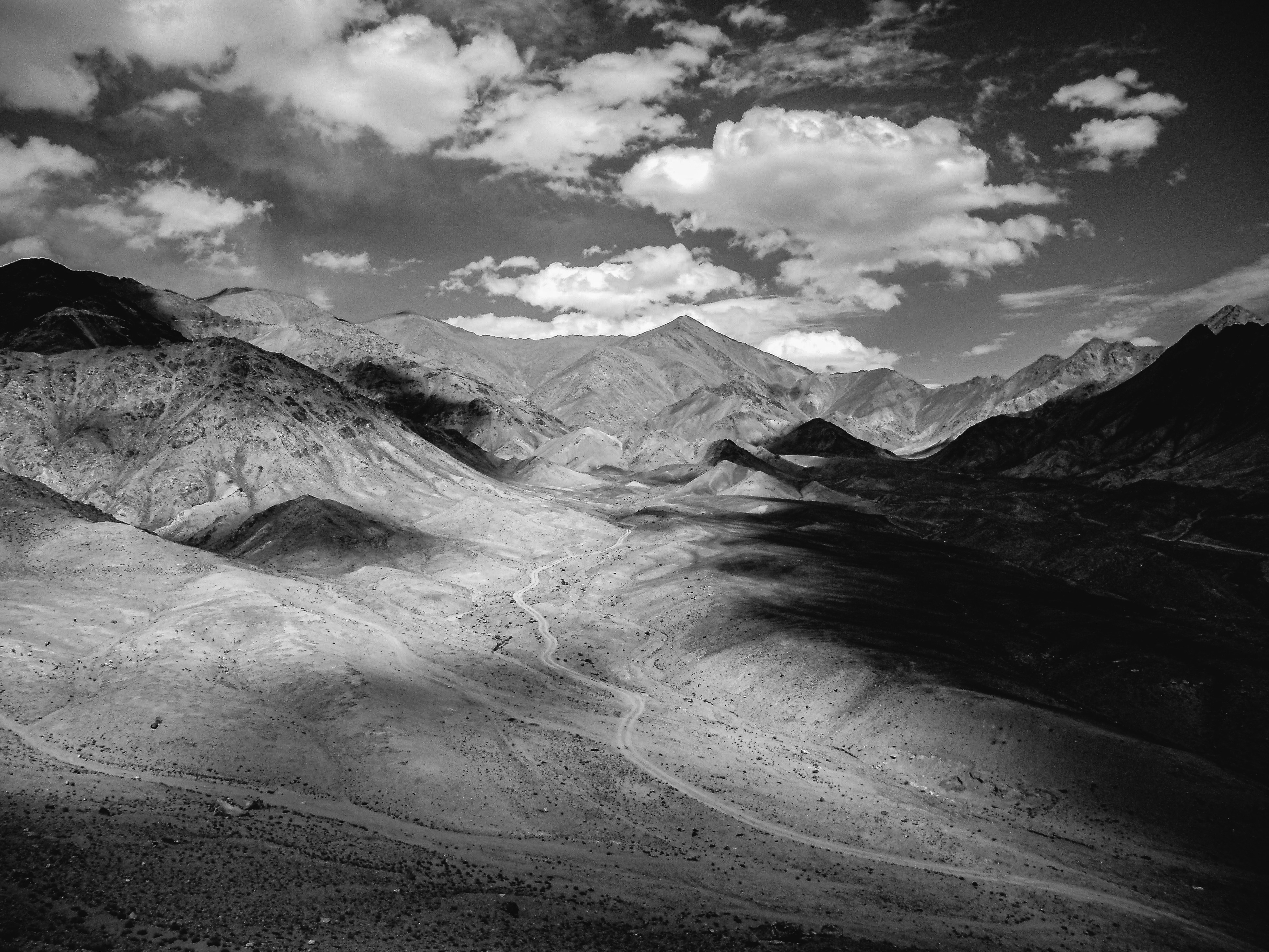 Photo by albutler
