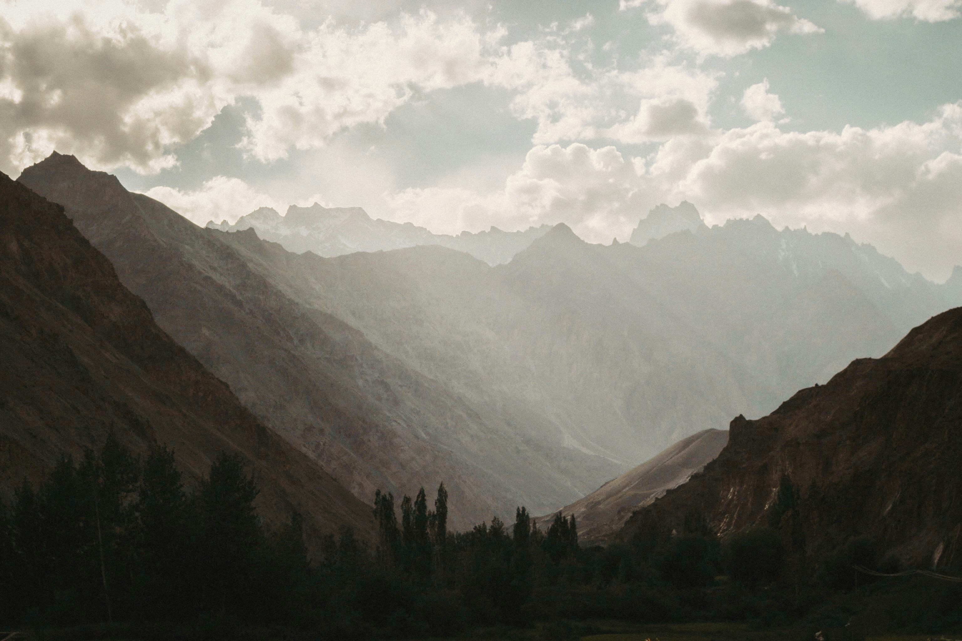 Photo by albutler