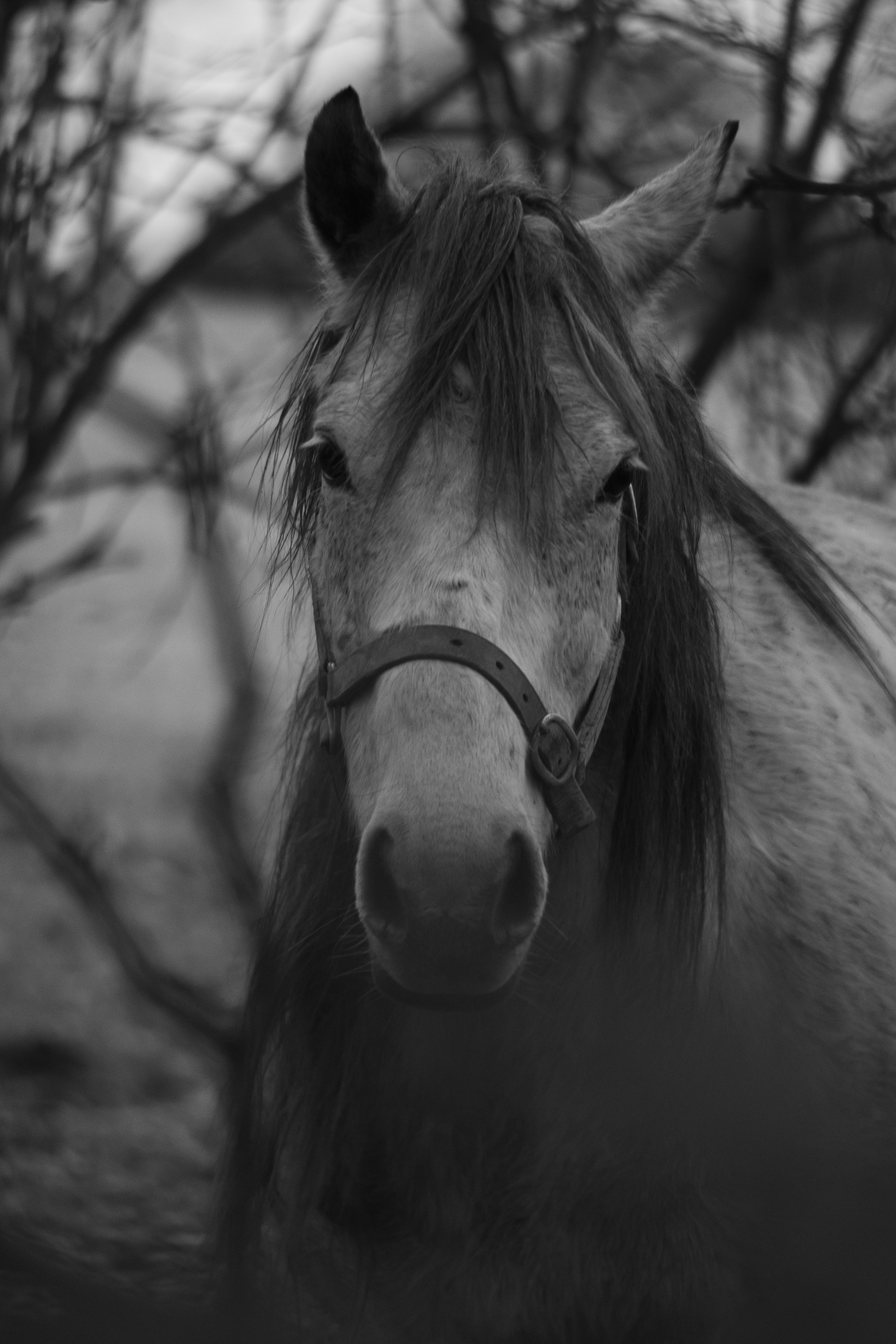 Photo by albutler