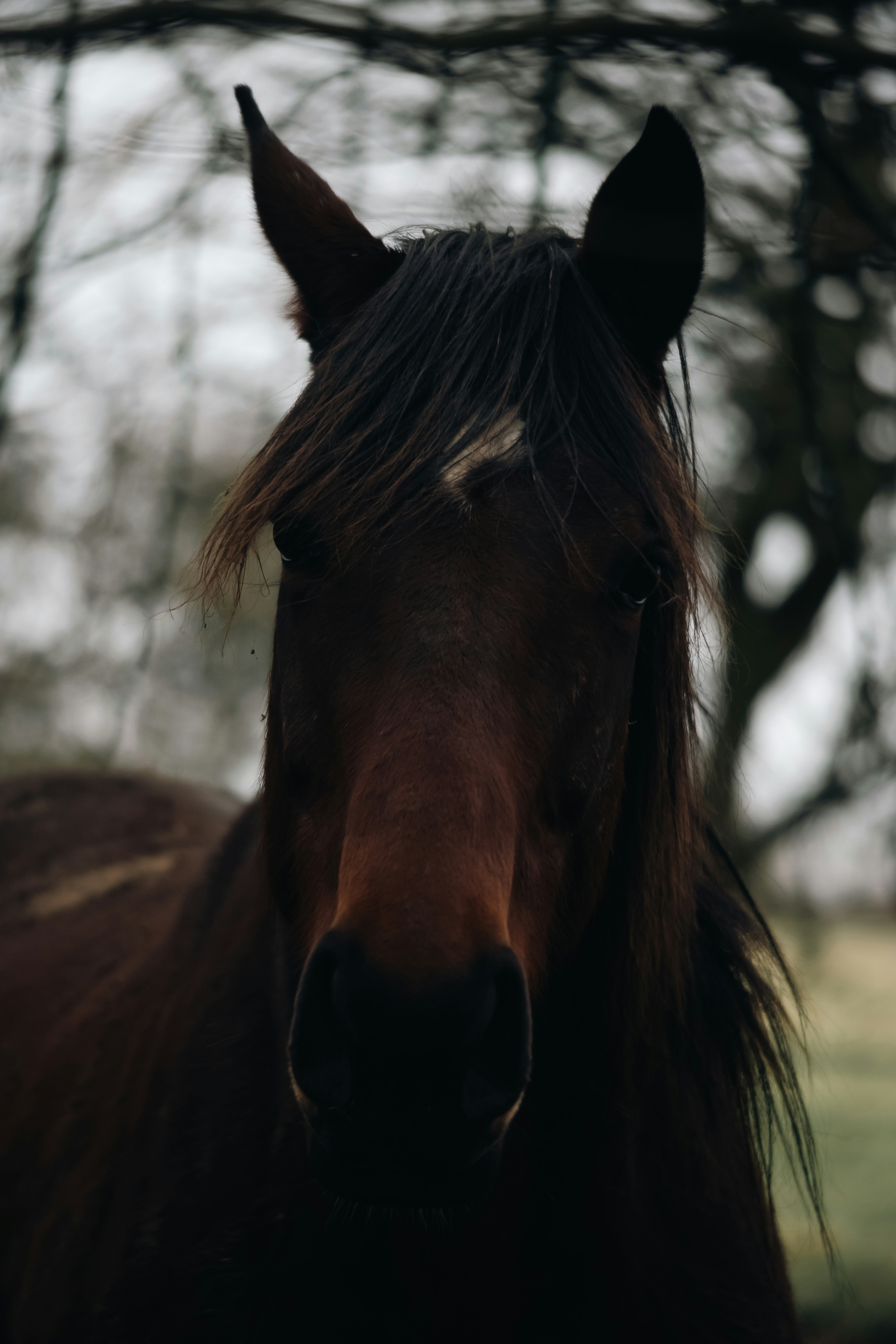 Photo by albutler