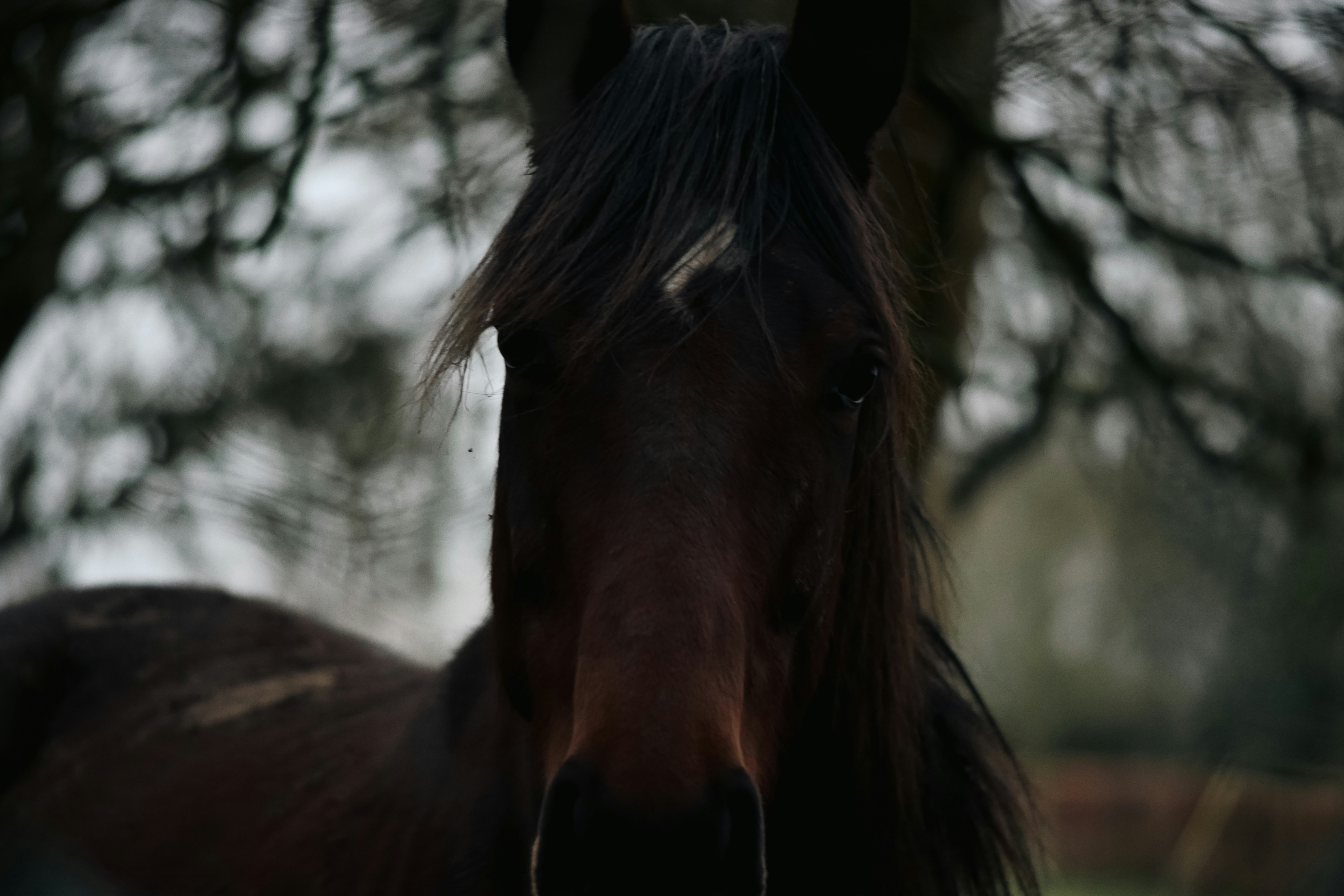 Photo by albutler