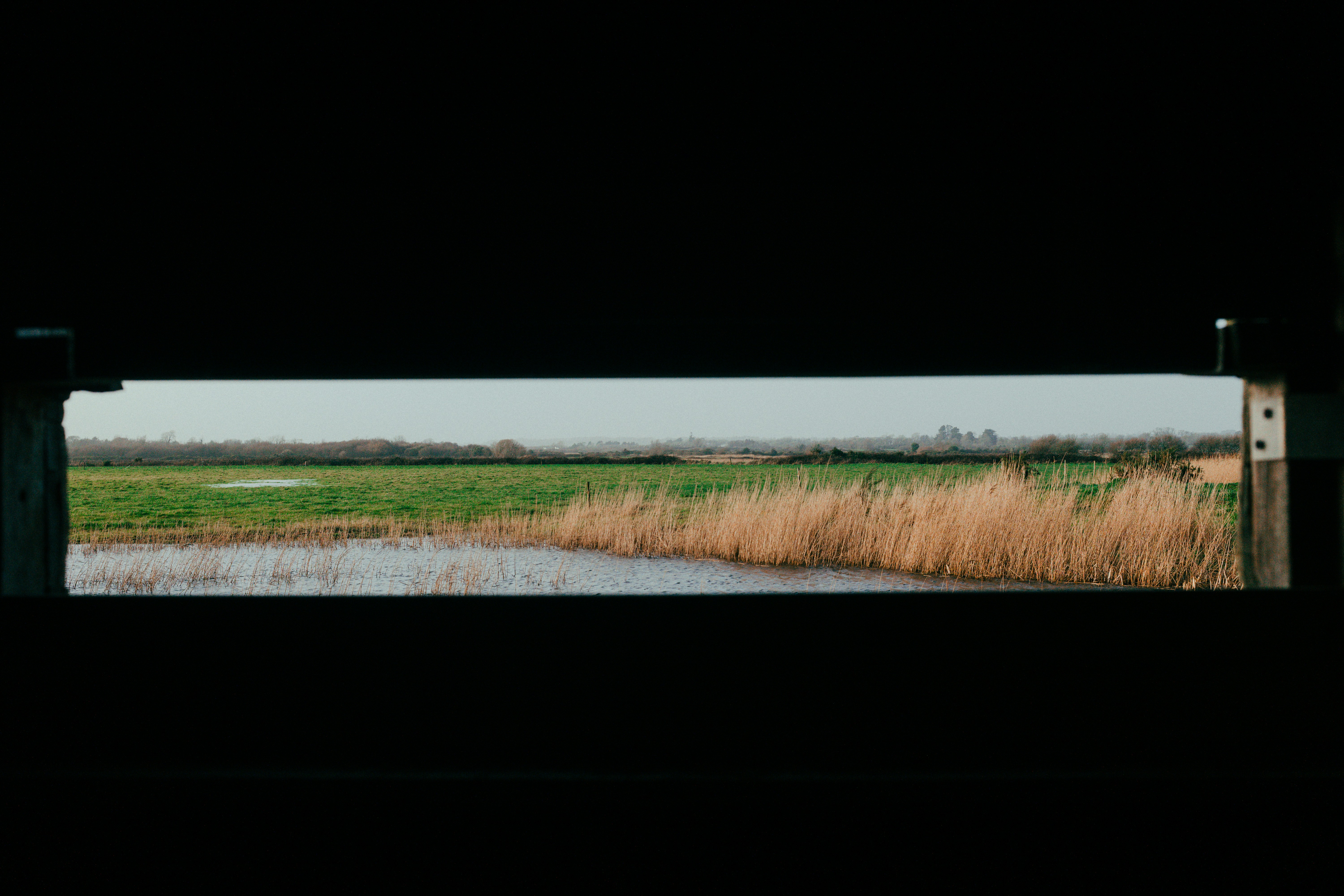 Wetland landscape with reeds and water through a narrow opening
