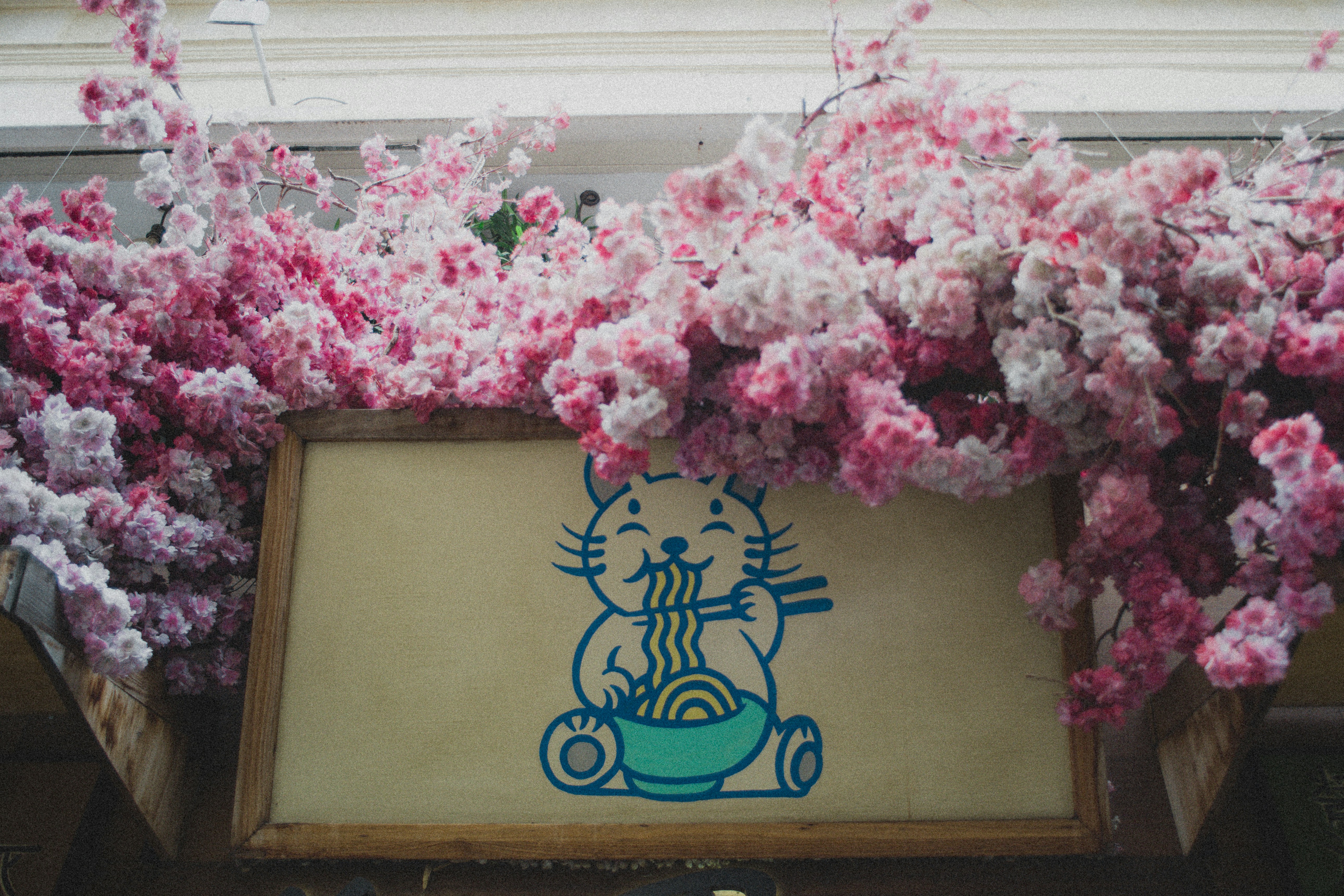 Cartoon cat eating ramen sign framed by pink blossoms.