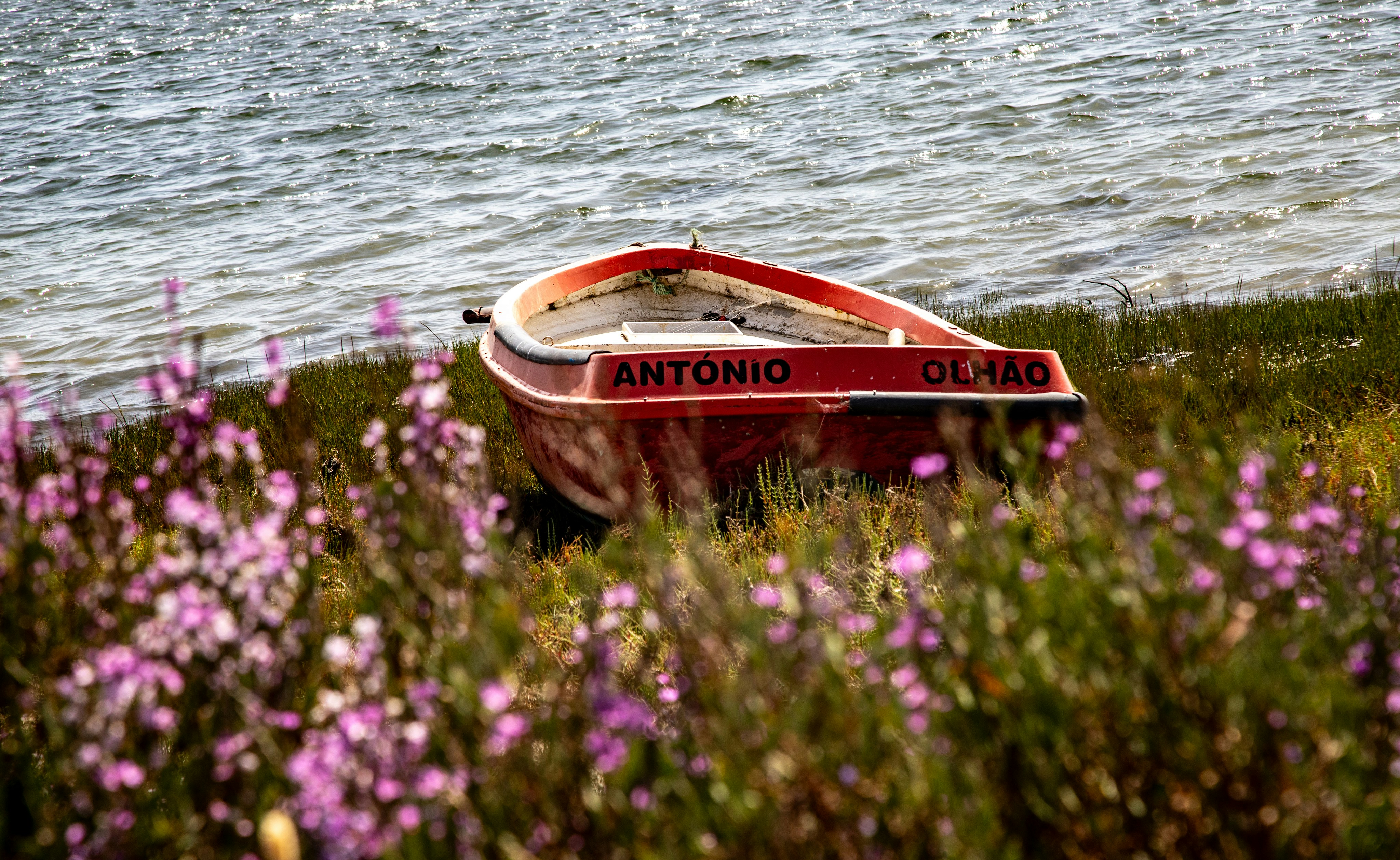 Photo by hdbernd