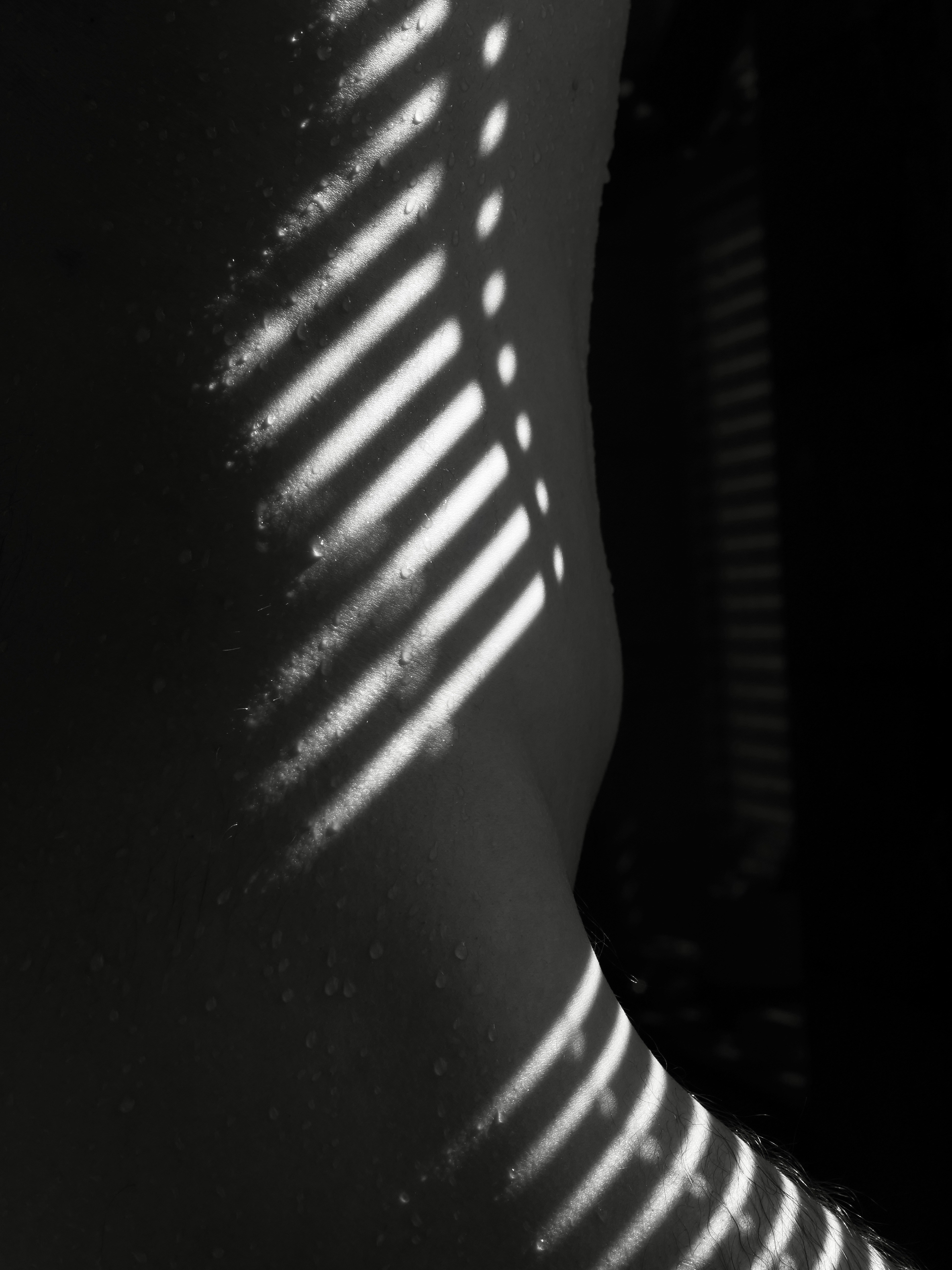 Photo by sschusterphotoart