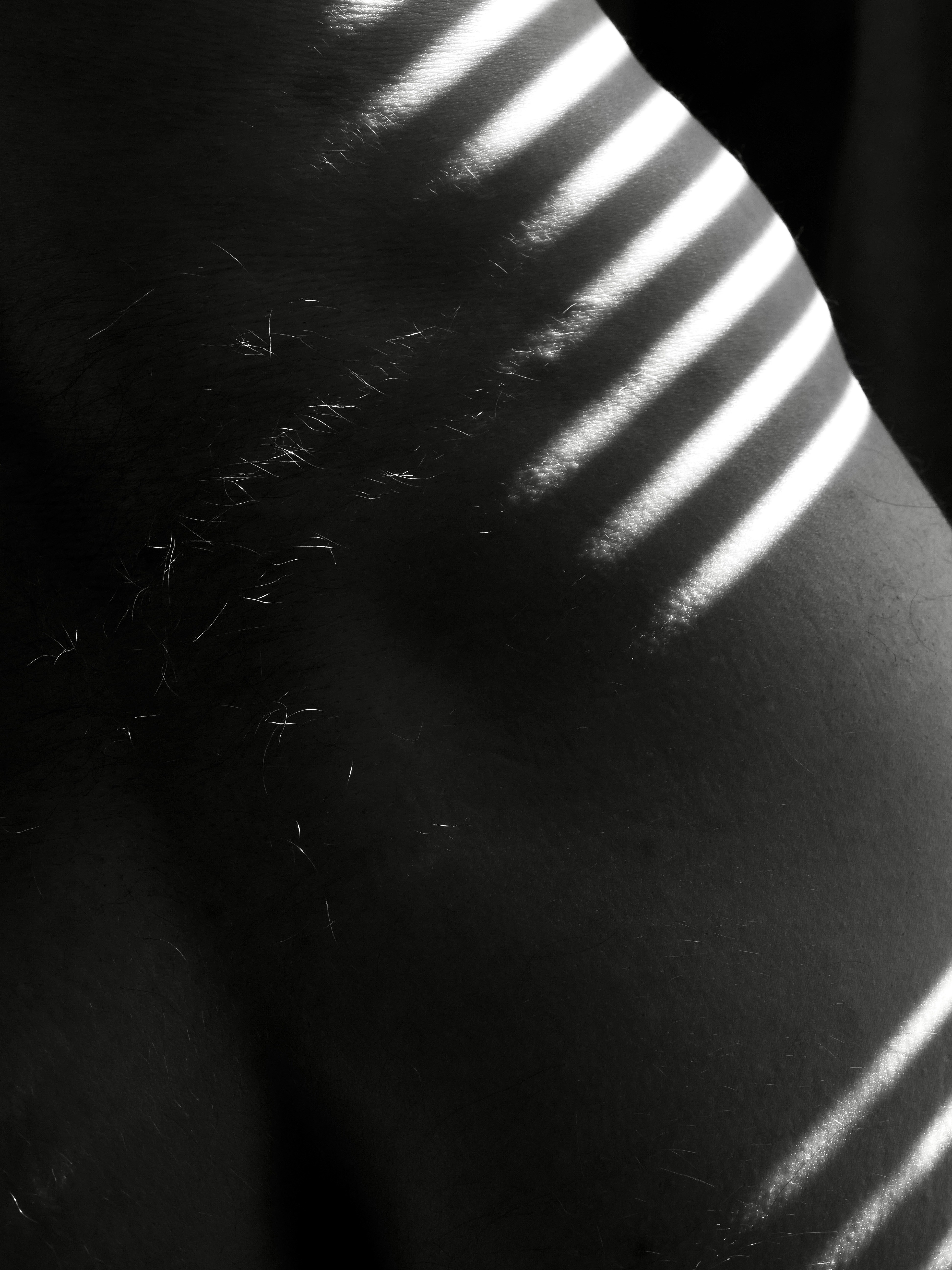 Photo by sschusterphotoart