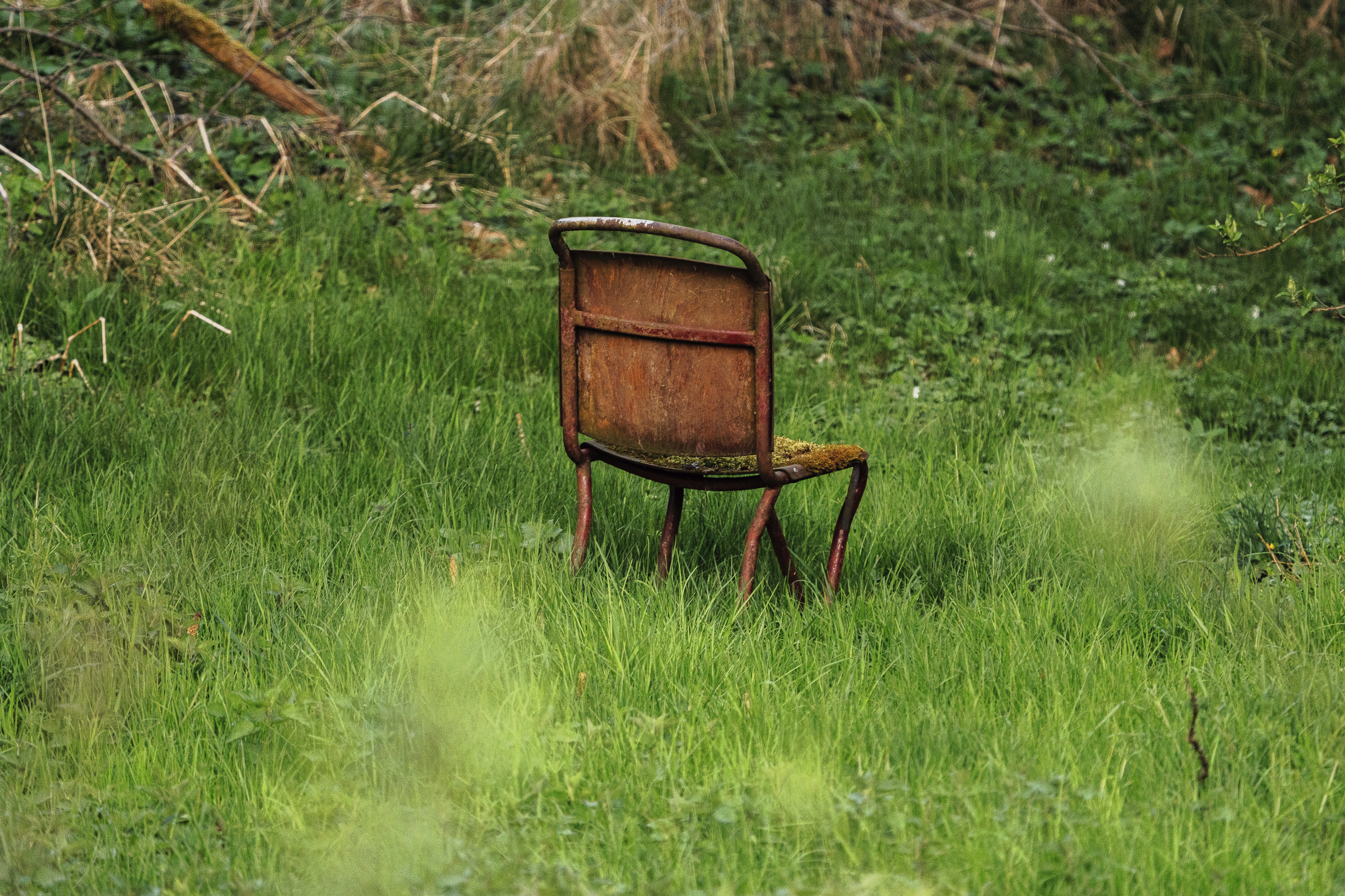 An old rusty chair in green grass.