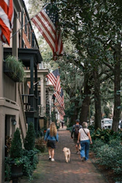 People and dogs walk a historic street with american flags.