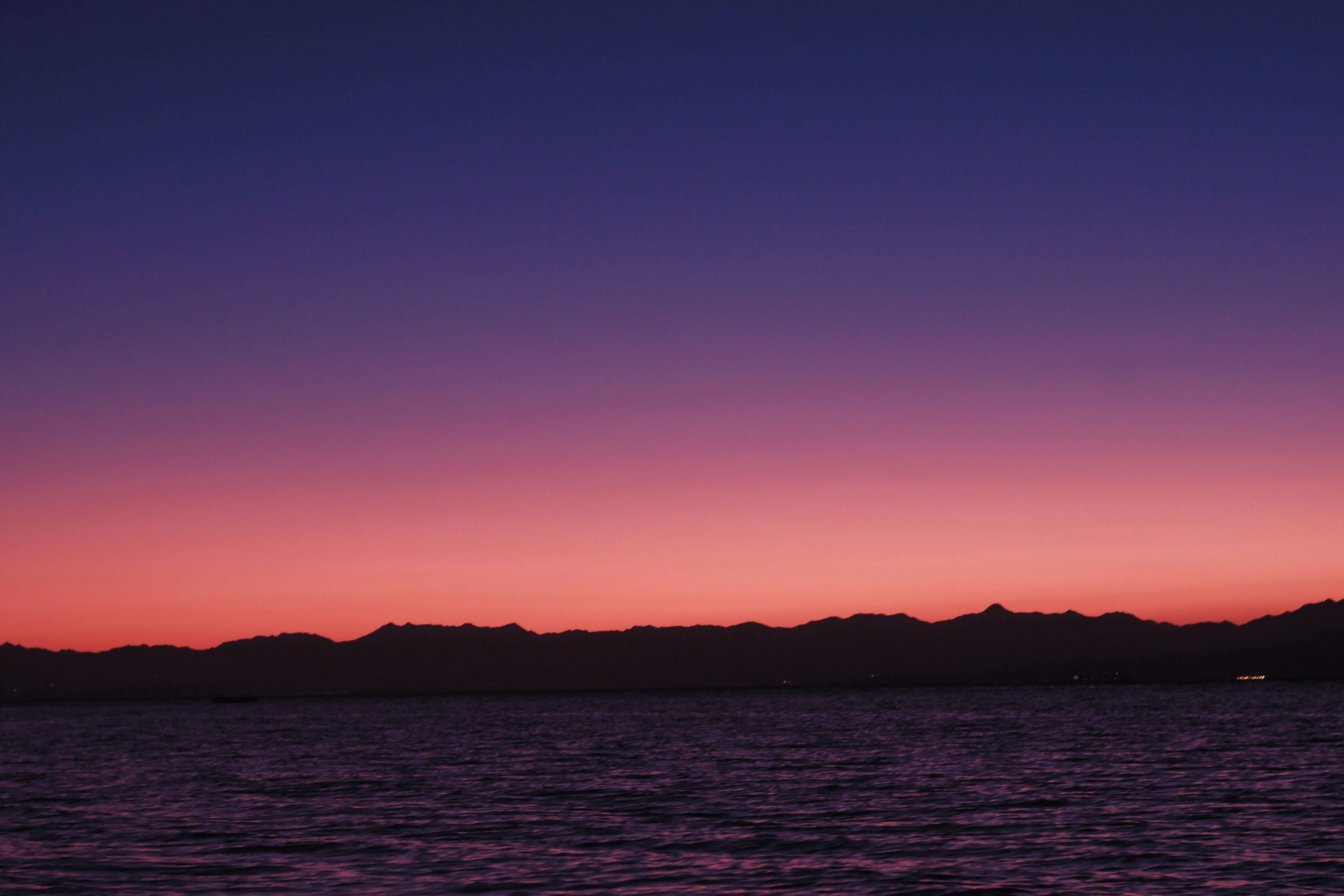 Hidden Gems of Southern Red Sea Coast Seasonal Nature Guide