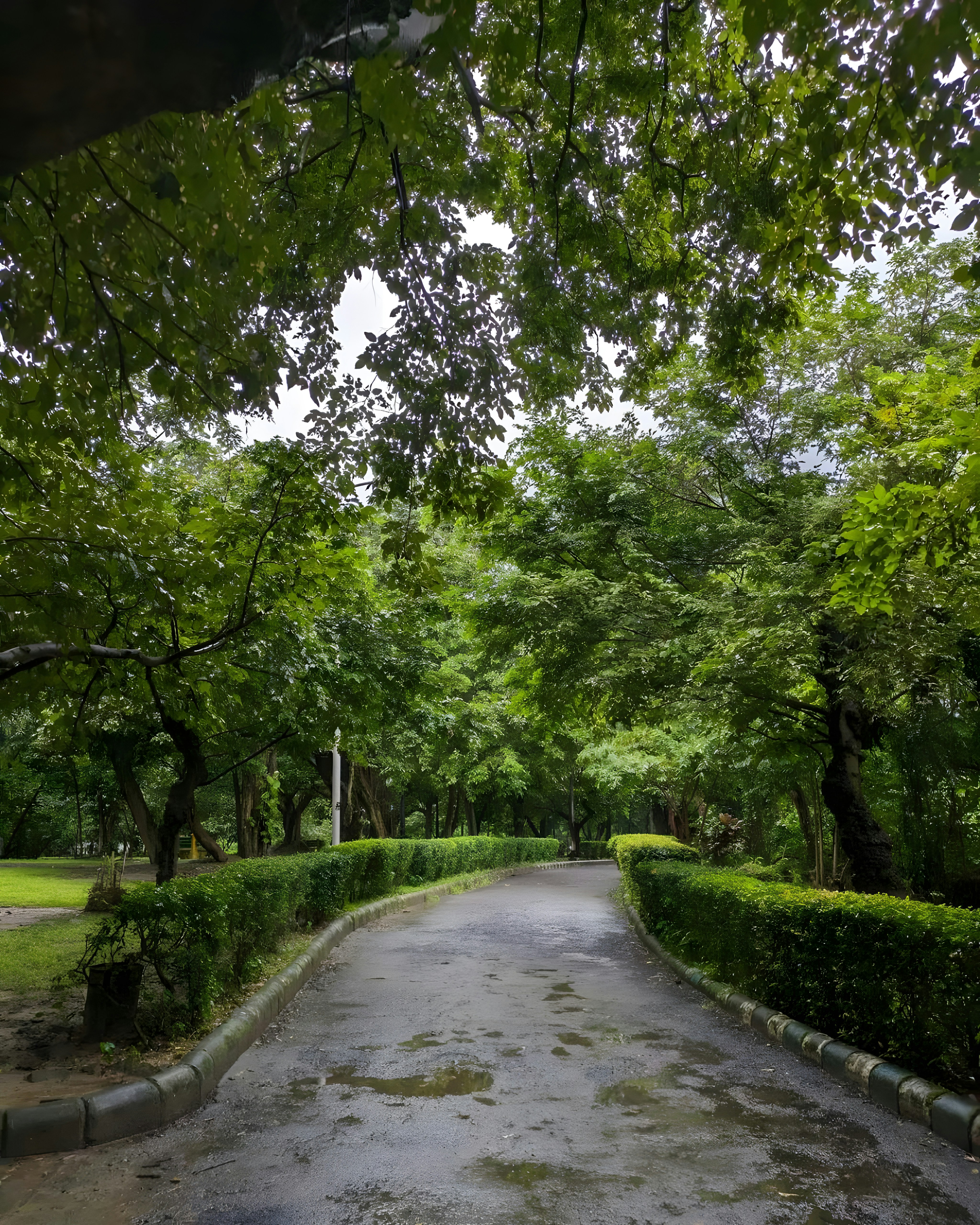 Photo by gopinath12