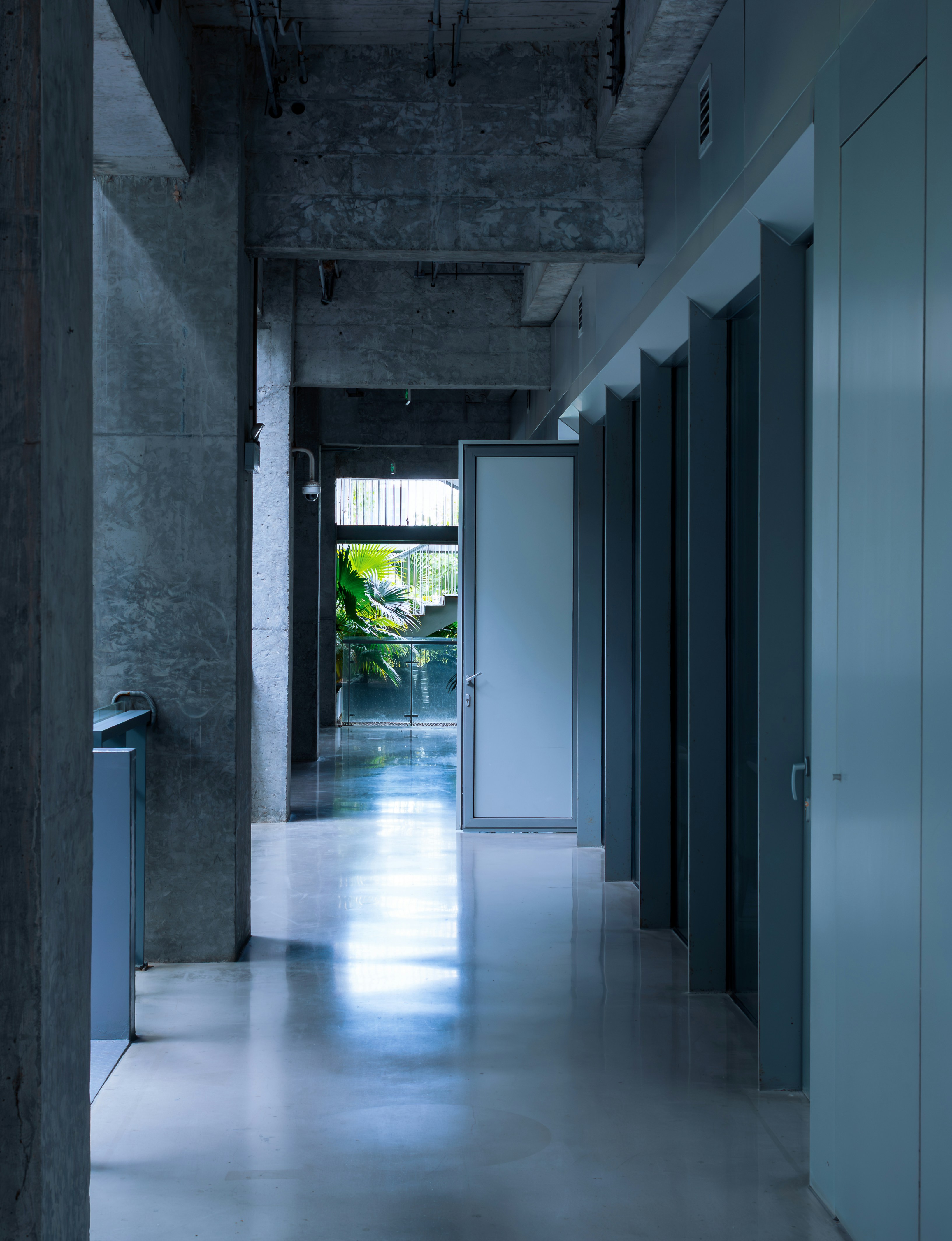 modern minimalist hallway, wallpaper, Organize Entryway with Area Rugs: A Complete Design Guide 5