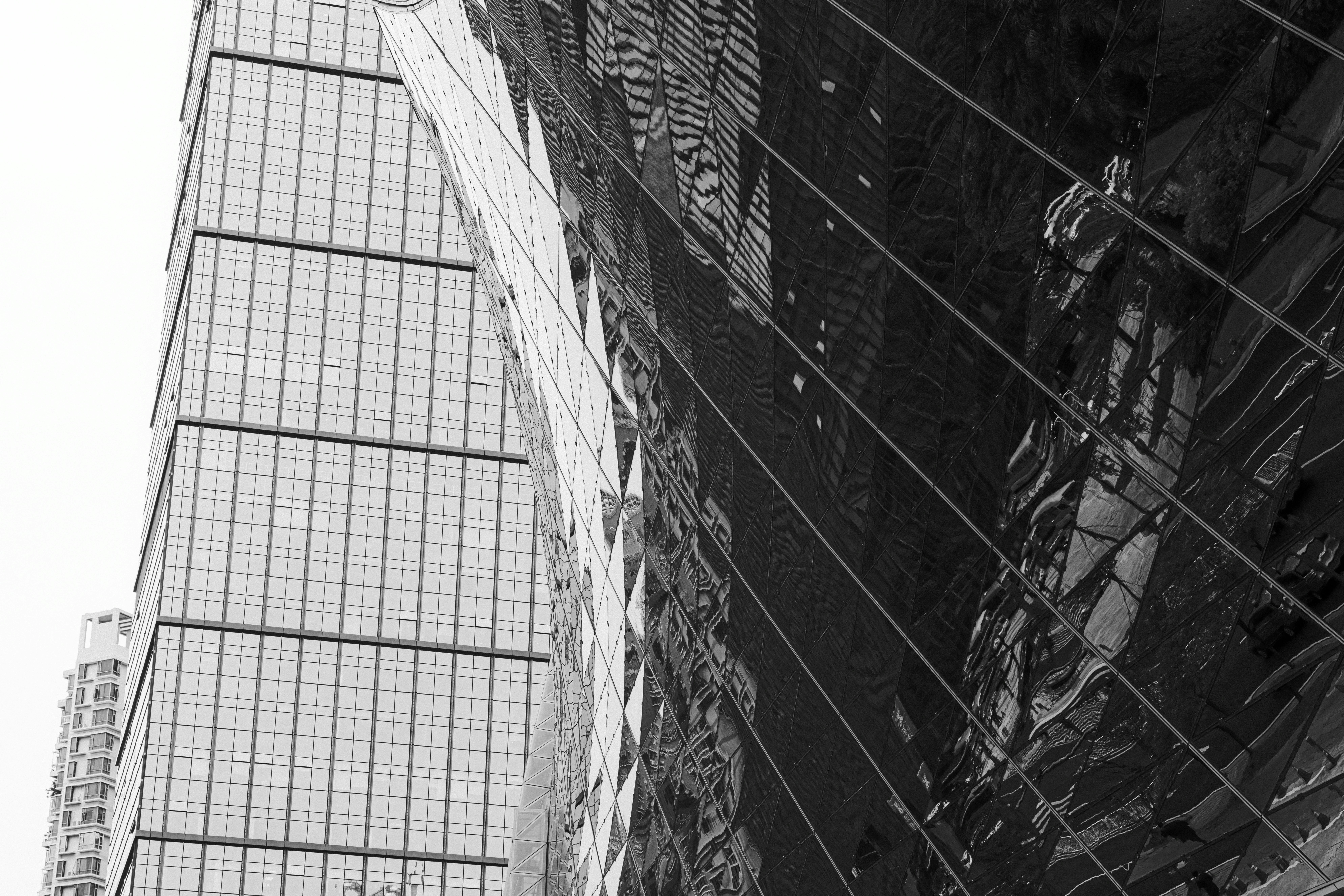 Black and white view of modern buildings with reflective glass
