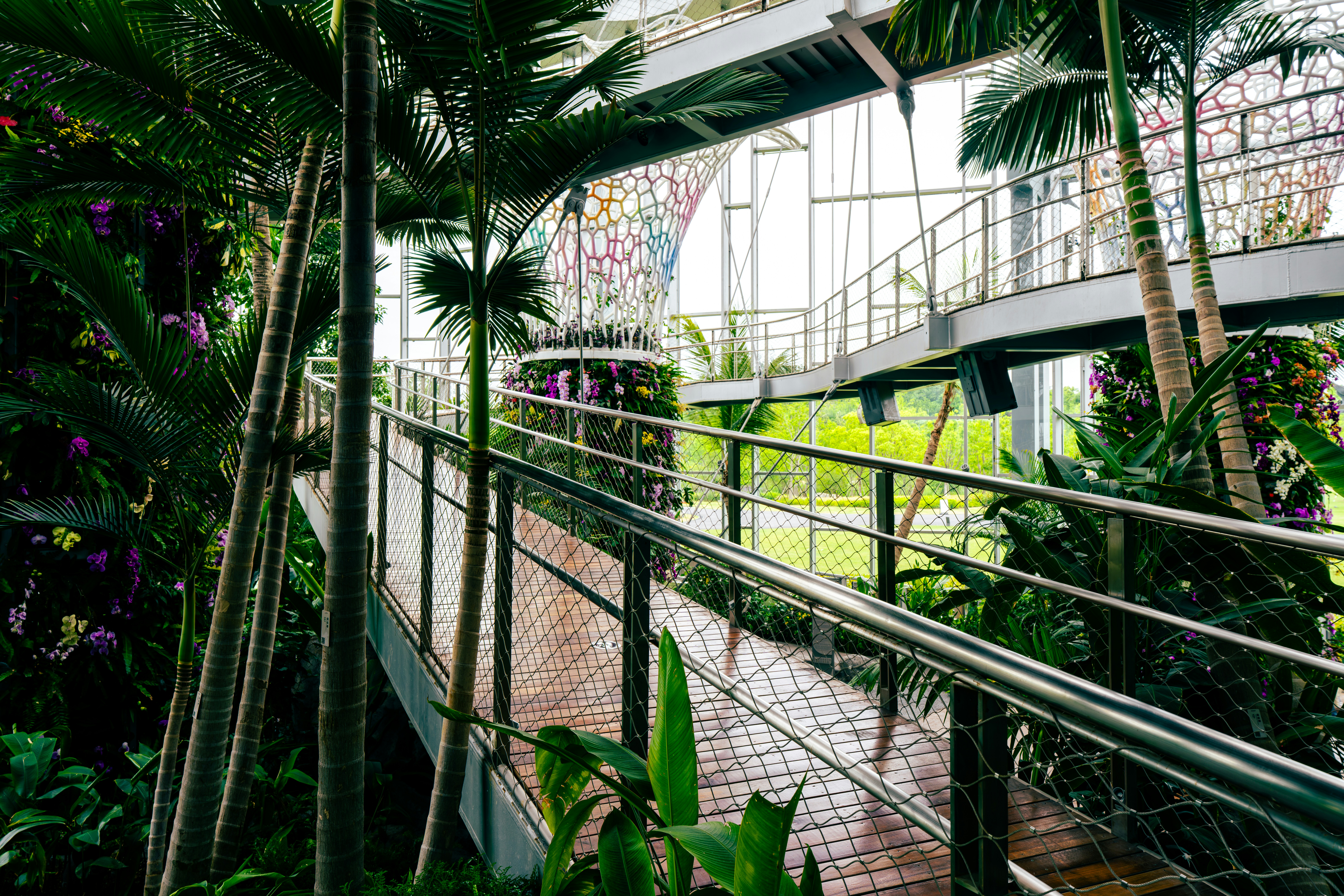 Elevated walkway through tropical planting at Shanghai Greenhouse Garden