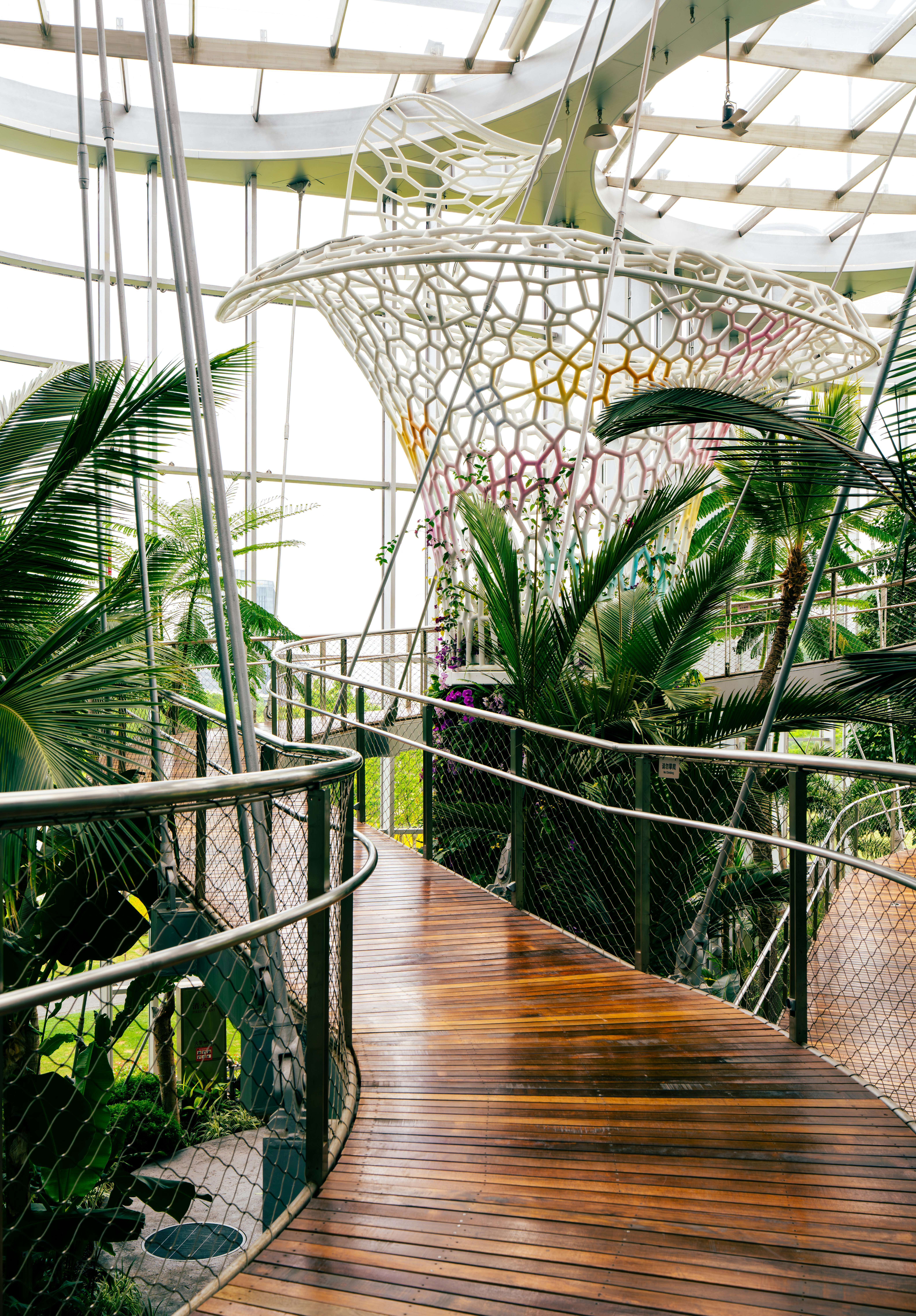 Curved wooden walkway through a lush indoor botanical garden.