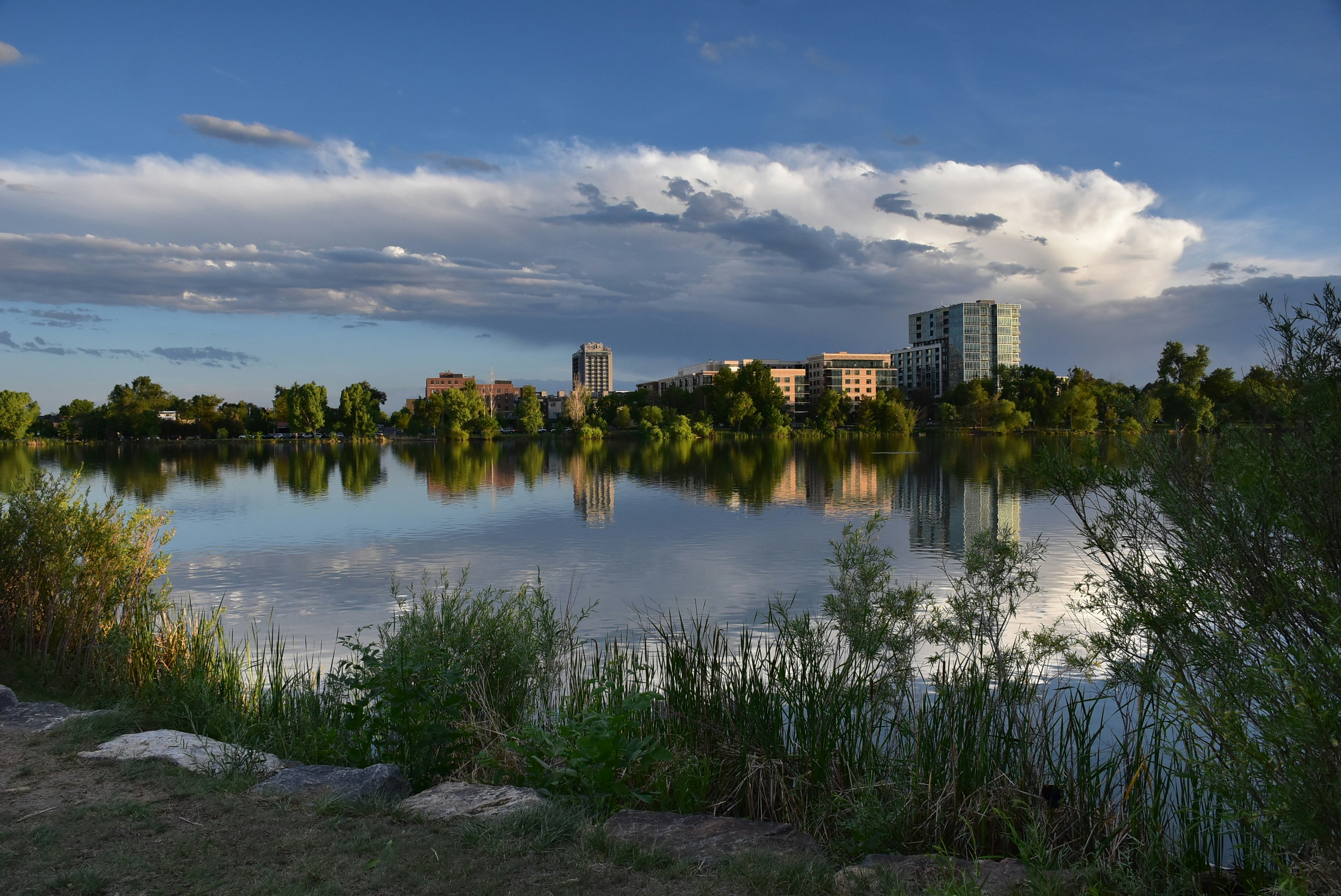 Photo by gennady107