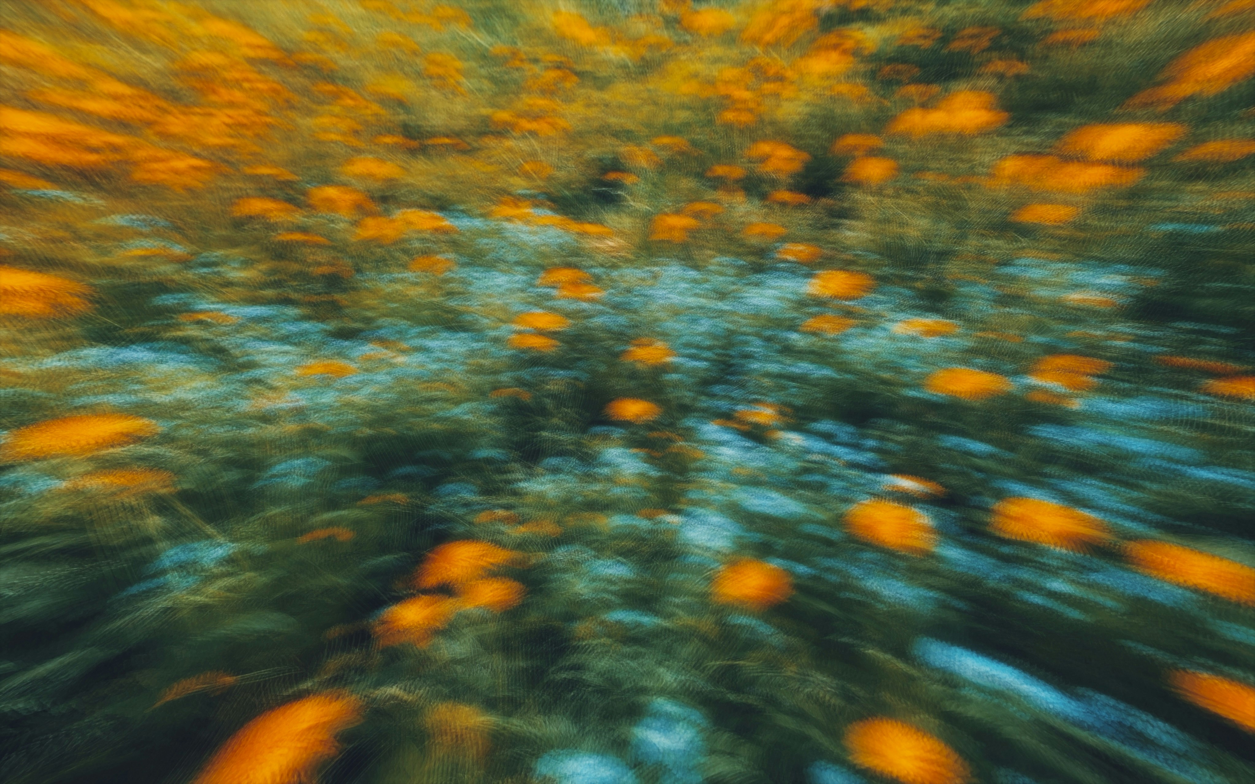 Vibrant orange flowers and green foliage with motion blur.