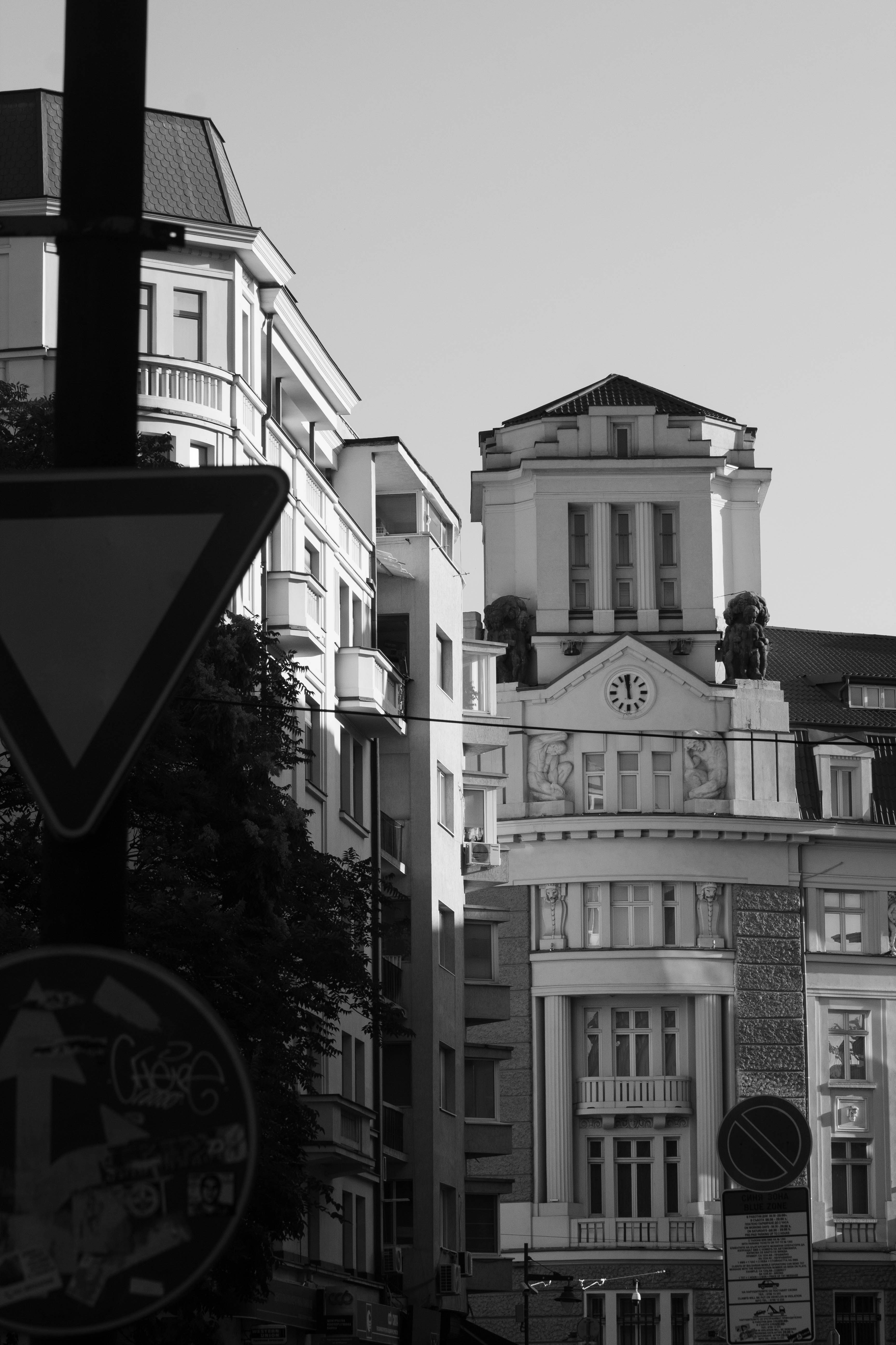 Photo by kristianangelov