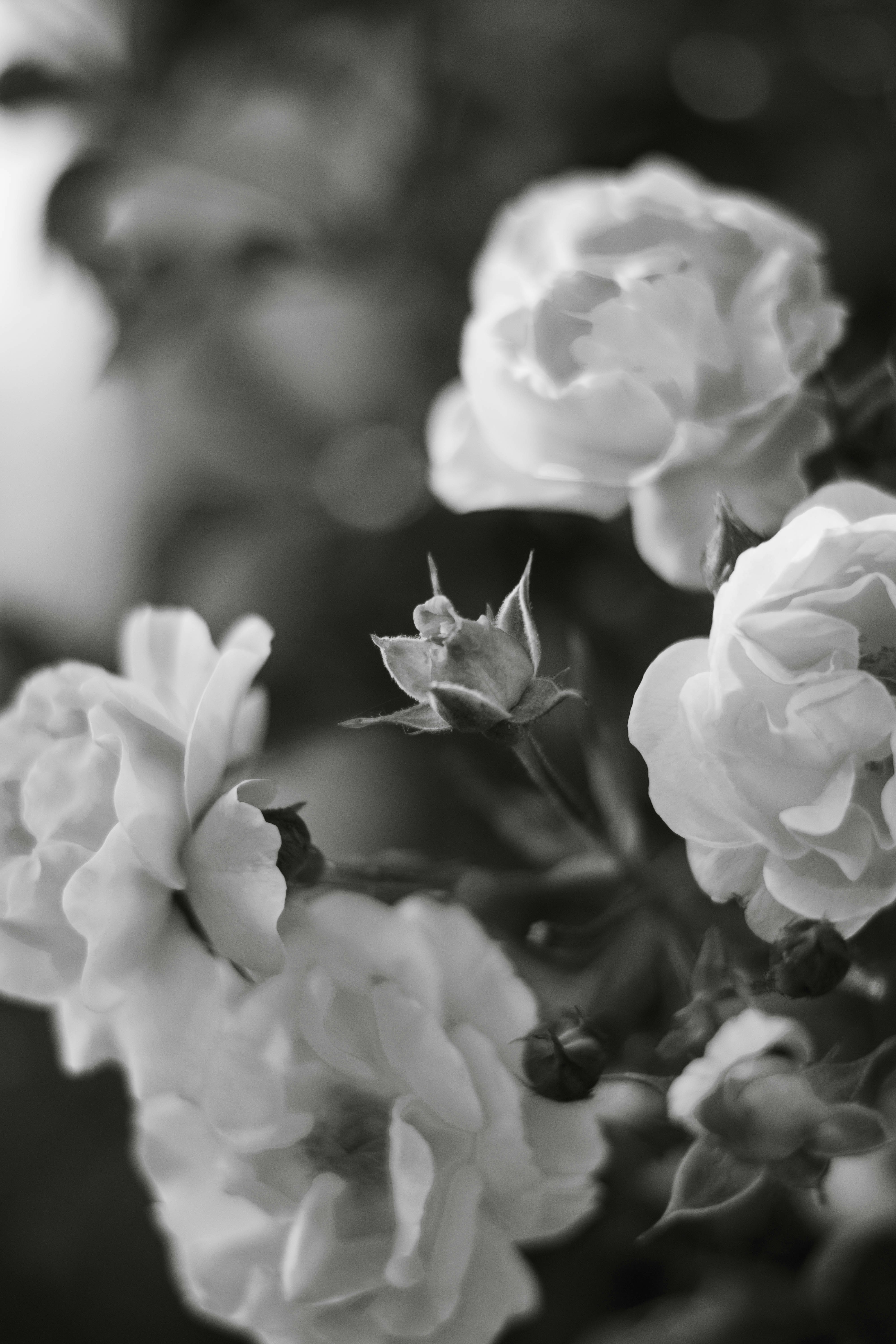 Image 28