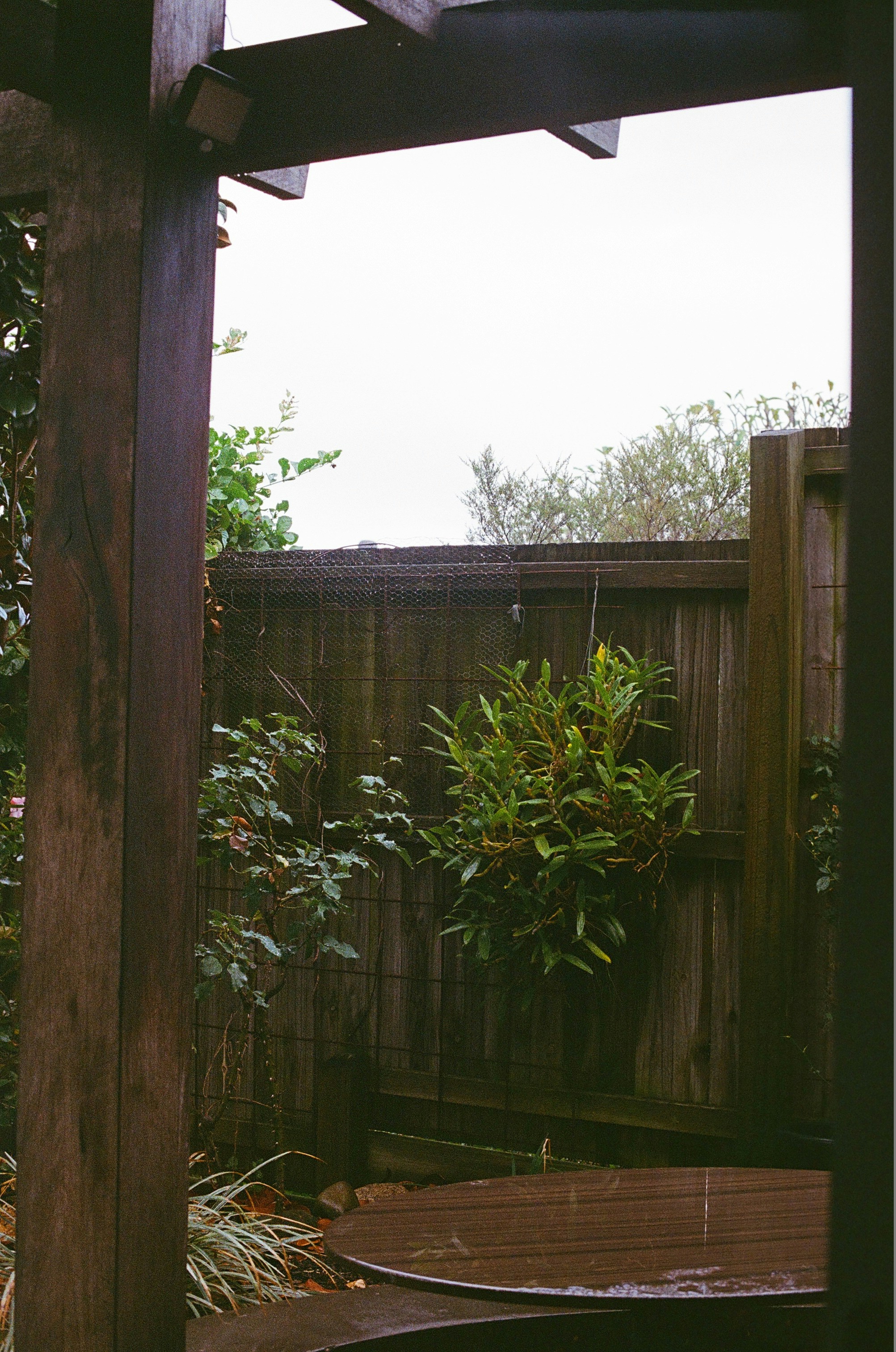 Rainwater Harvesting Systems - backyard landscaping designs