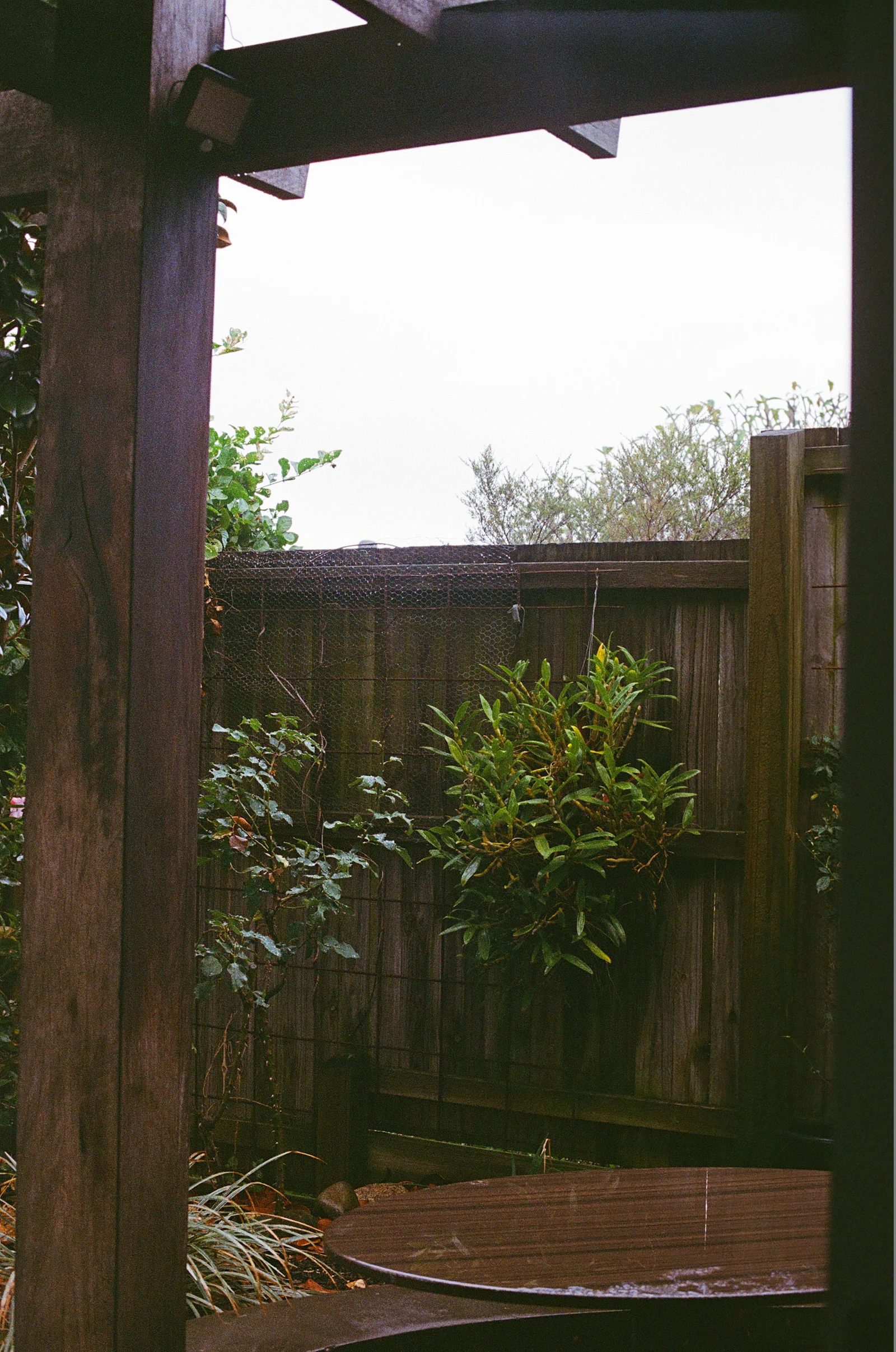 Garden clearance by Straight Landscaping