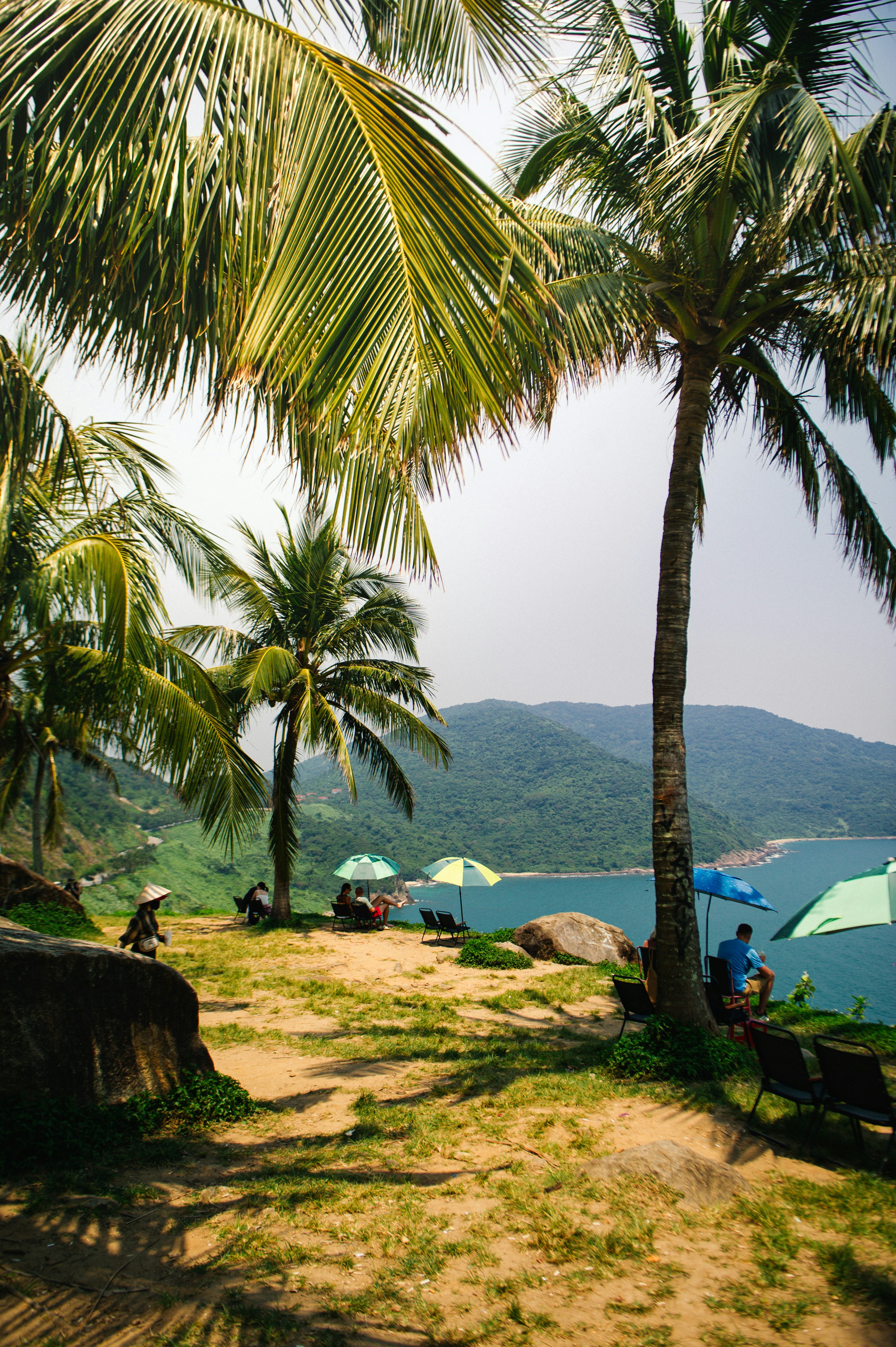 Tropical beach with palm trees, umbrellas, and distant mountains.