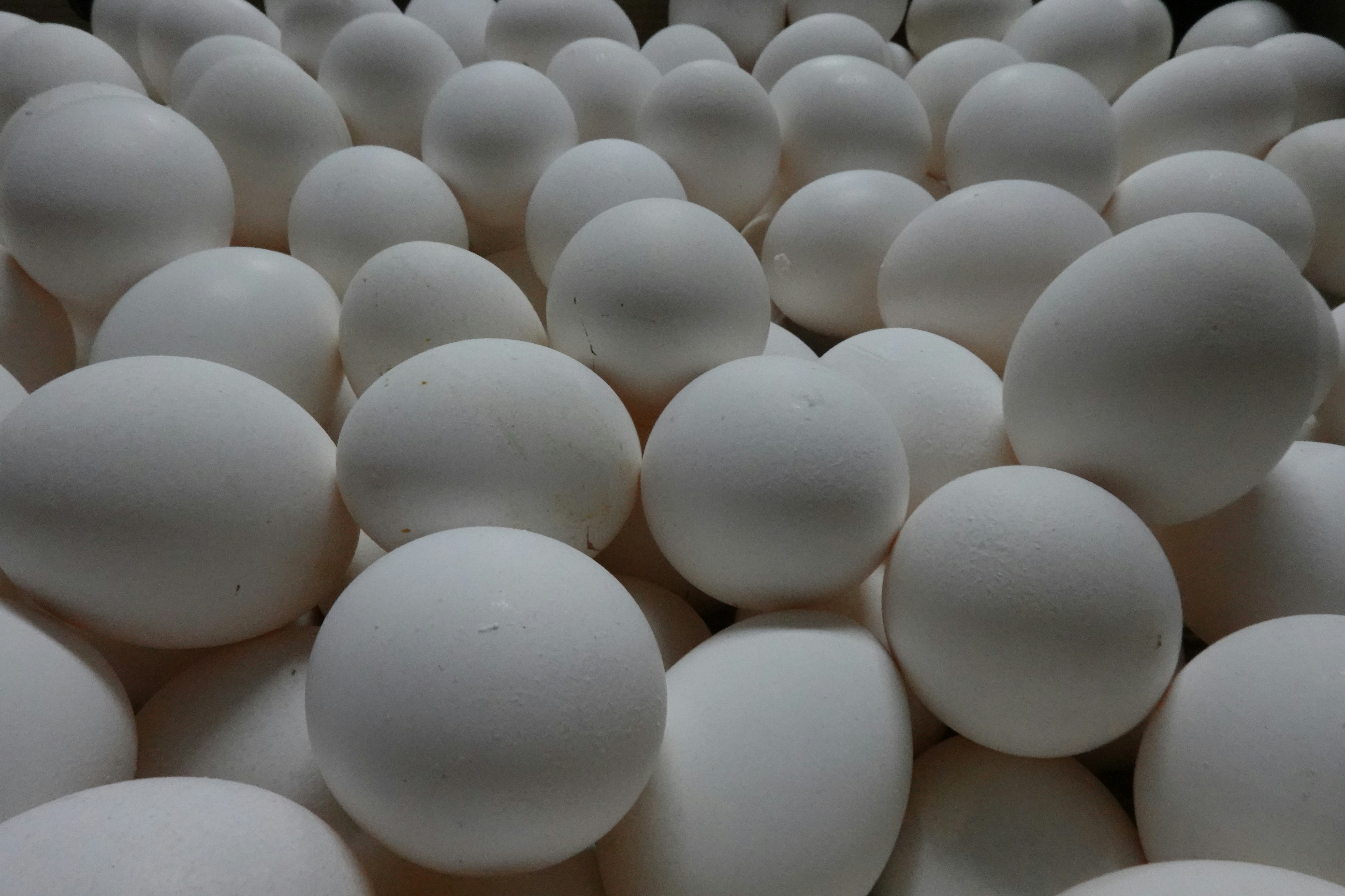Numerous white eggs forming a large pile.